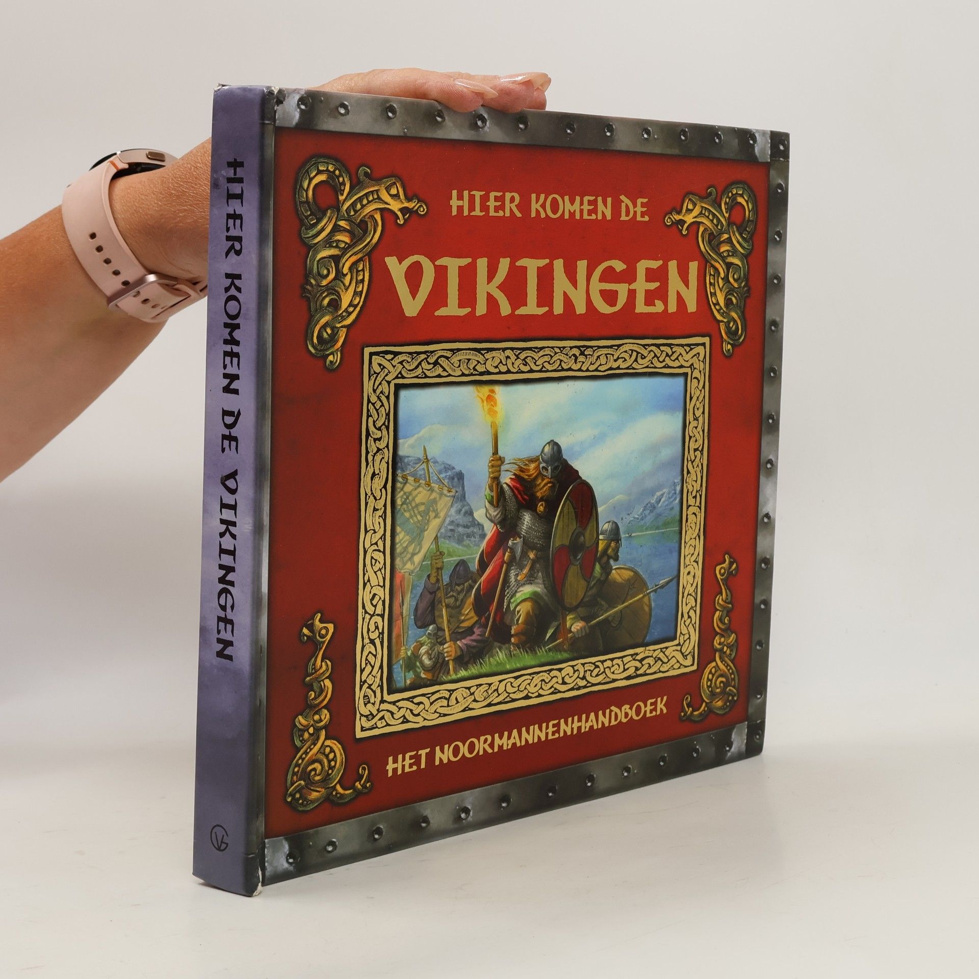 Ari Berk Hier komen de Vikingen