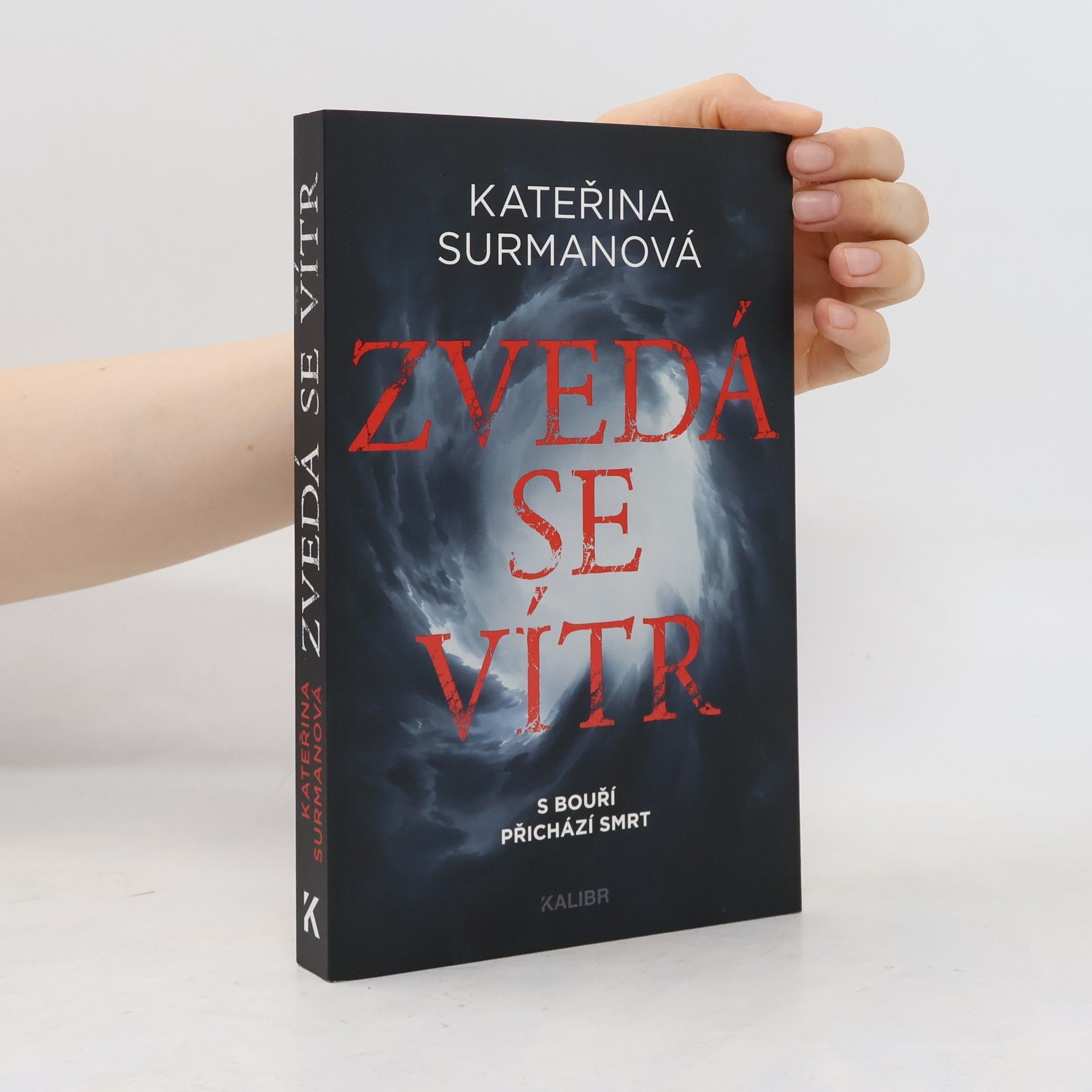 Kateřina Surmanová Zvedá se vítr