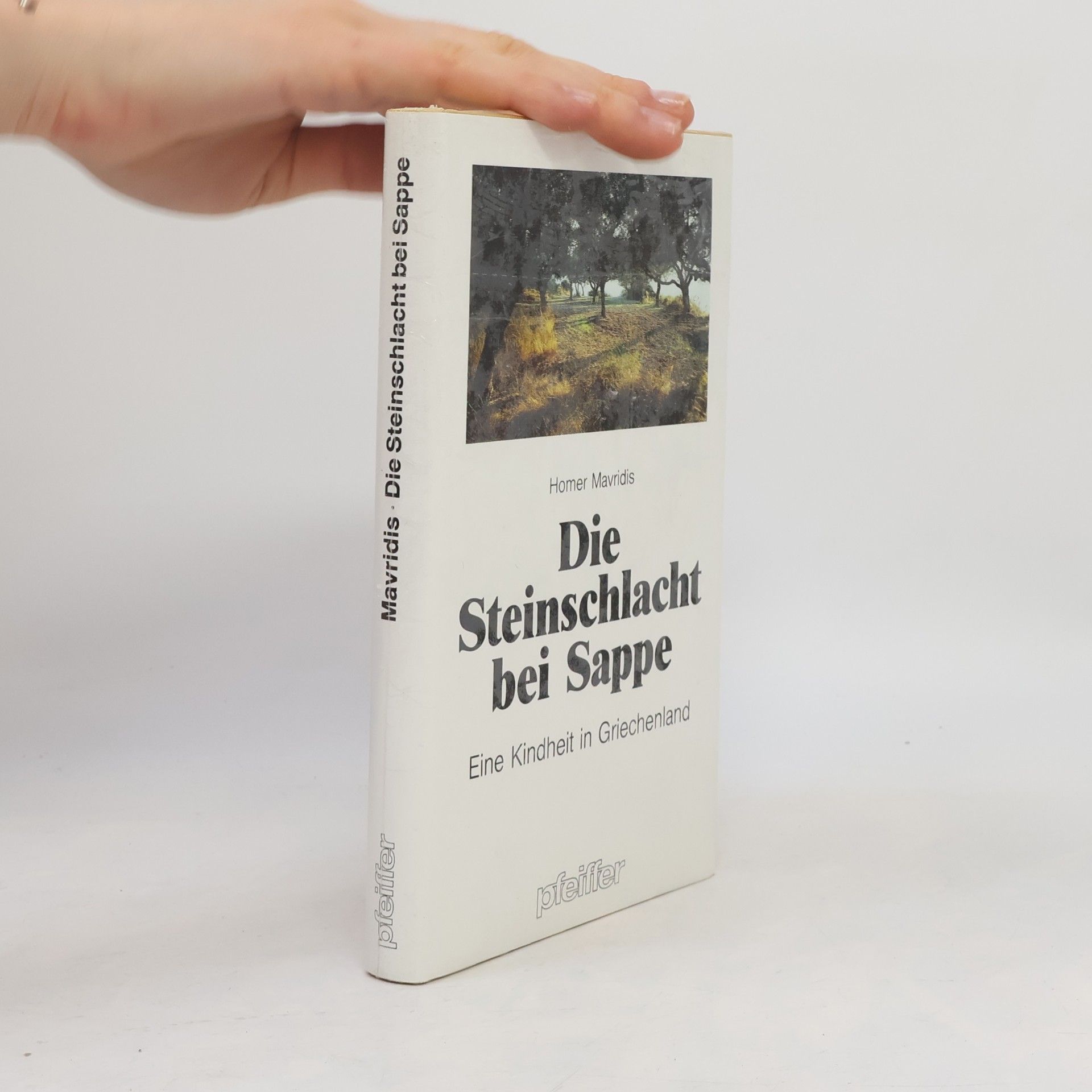 Homer Mavridis Die Steinschlacht bei Sappe. Eine Kindheit in Griechenland