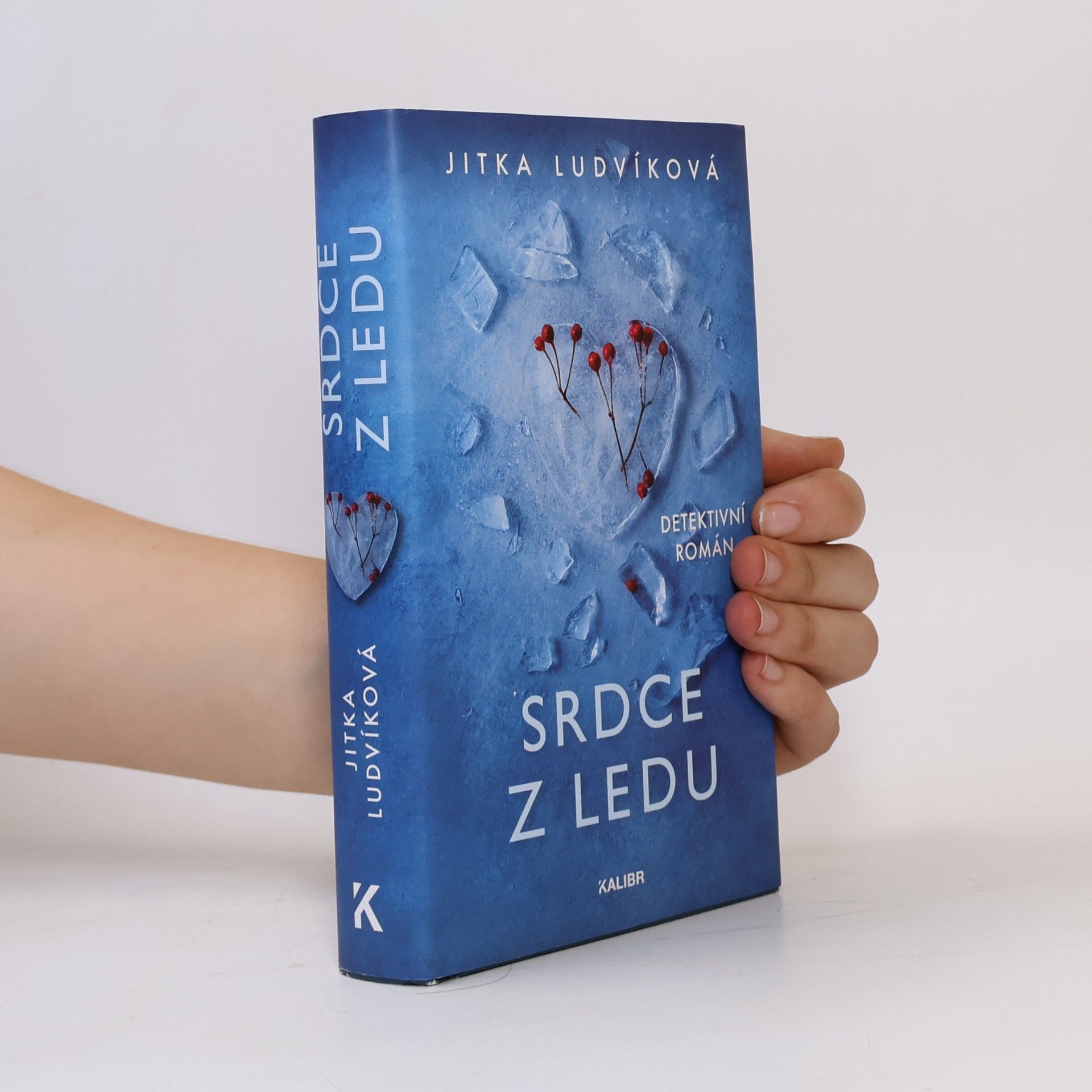 Srdce z ledu