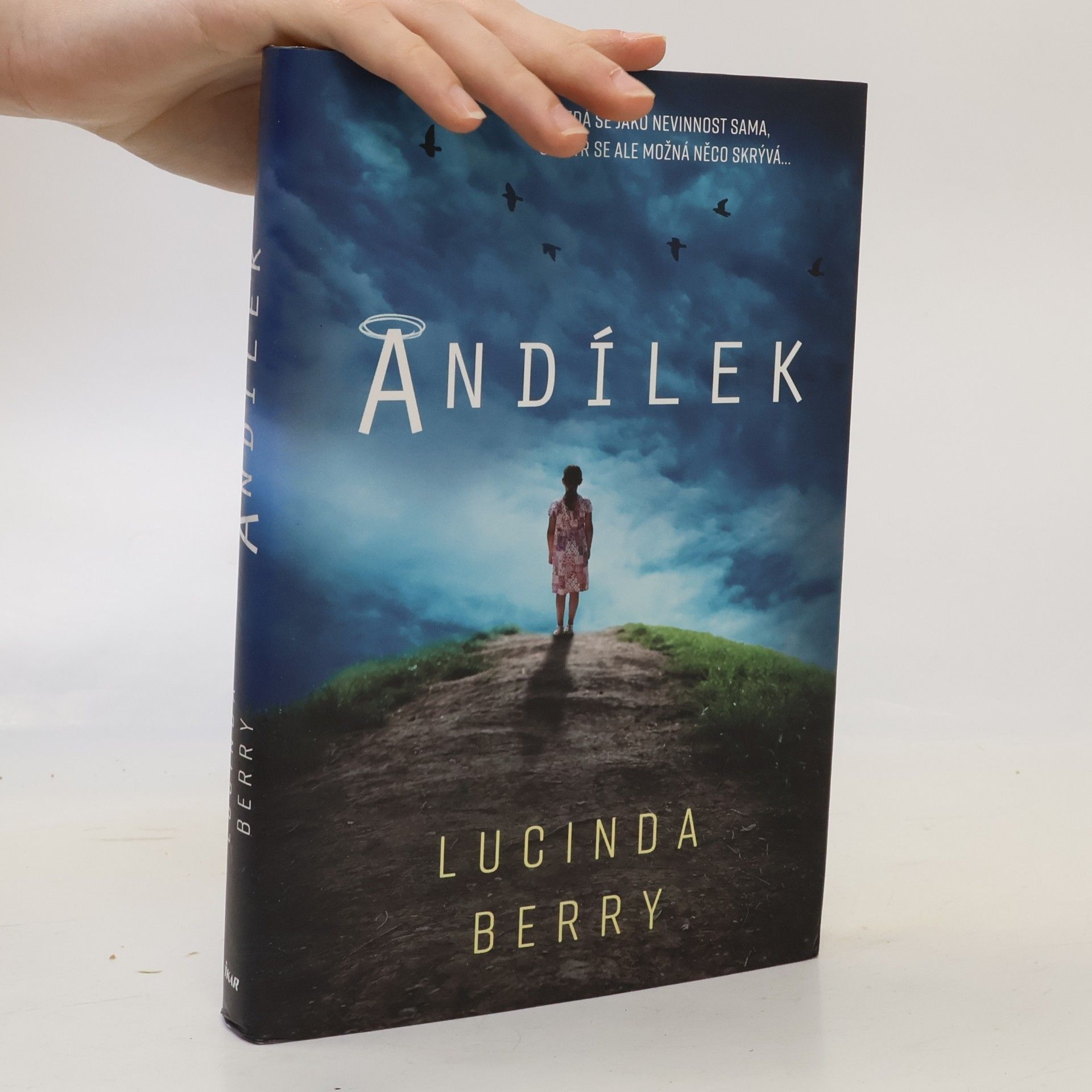Lucinda Berry Andílek