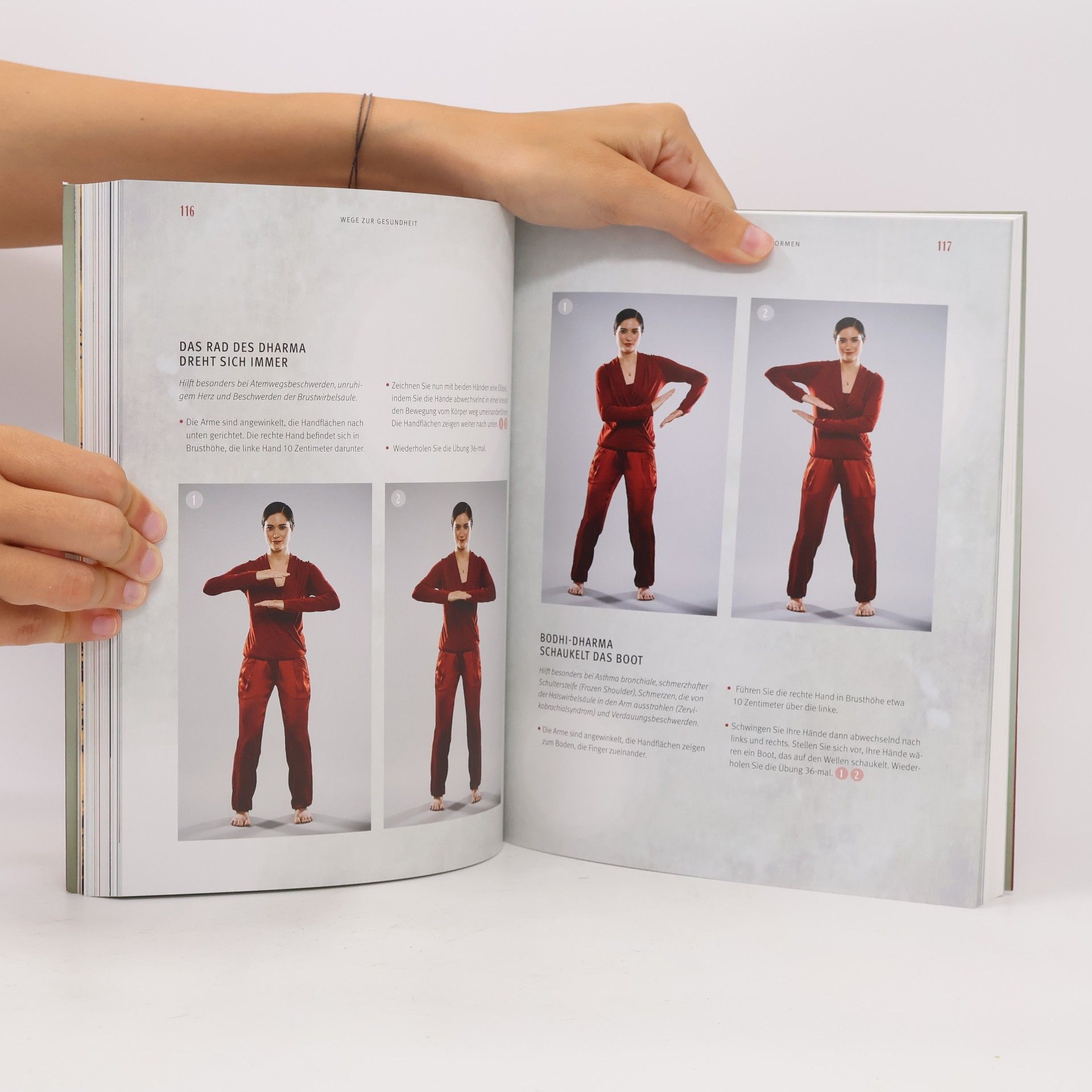 Li Wu Praxisbuch Energiemedizin