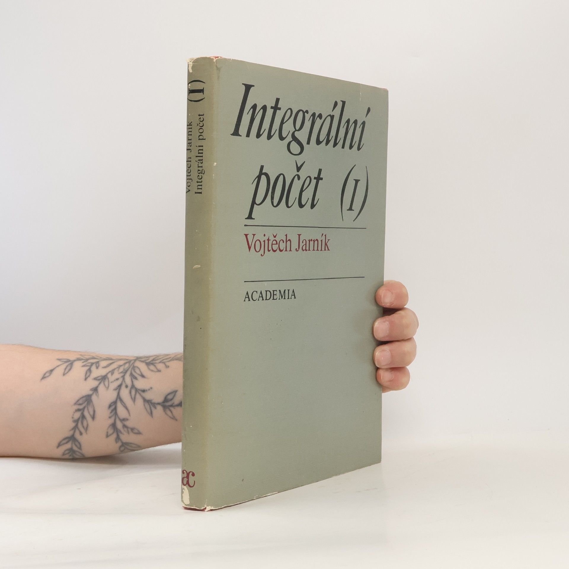 Integrální počet (I)