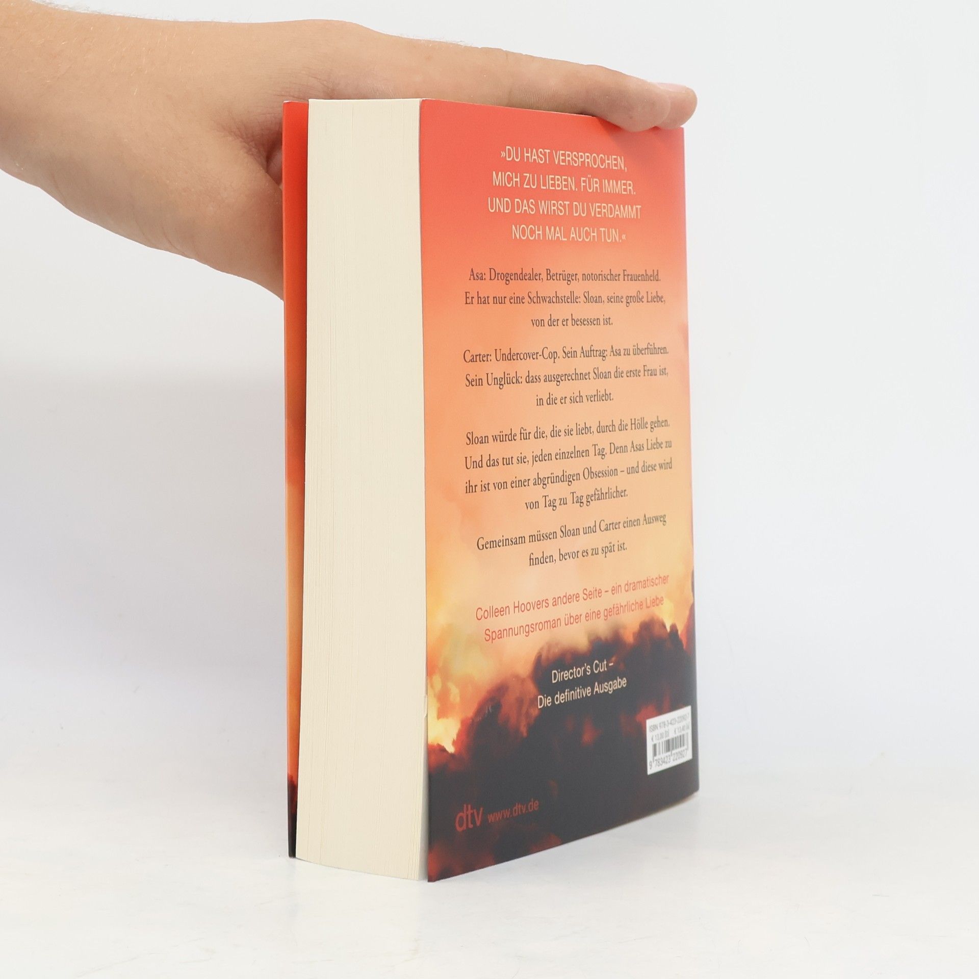 Colleen Hoover Too Late - Wenn Nein sagen zur tödlichen Gefahr wird