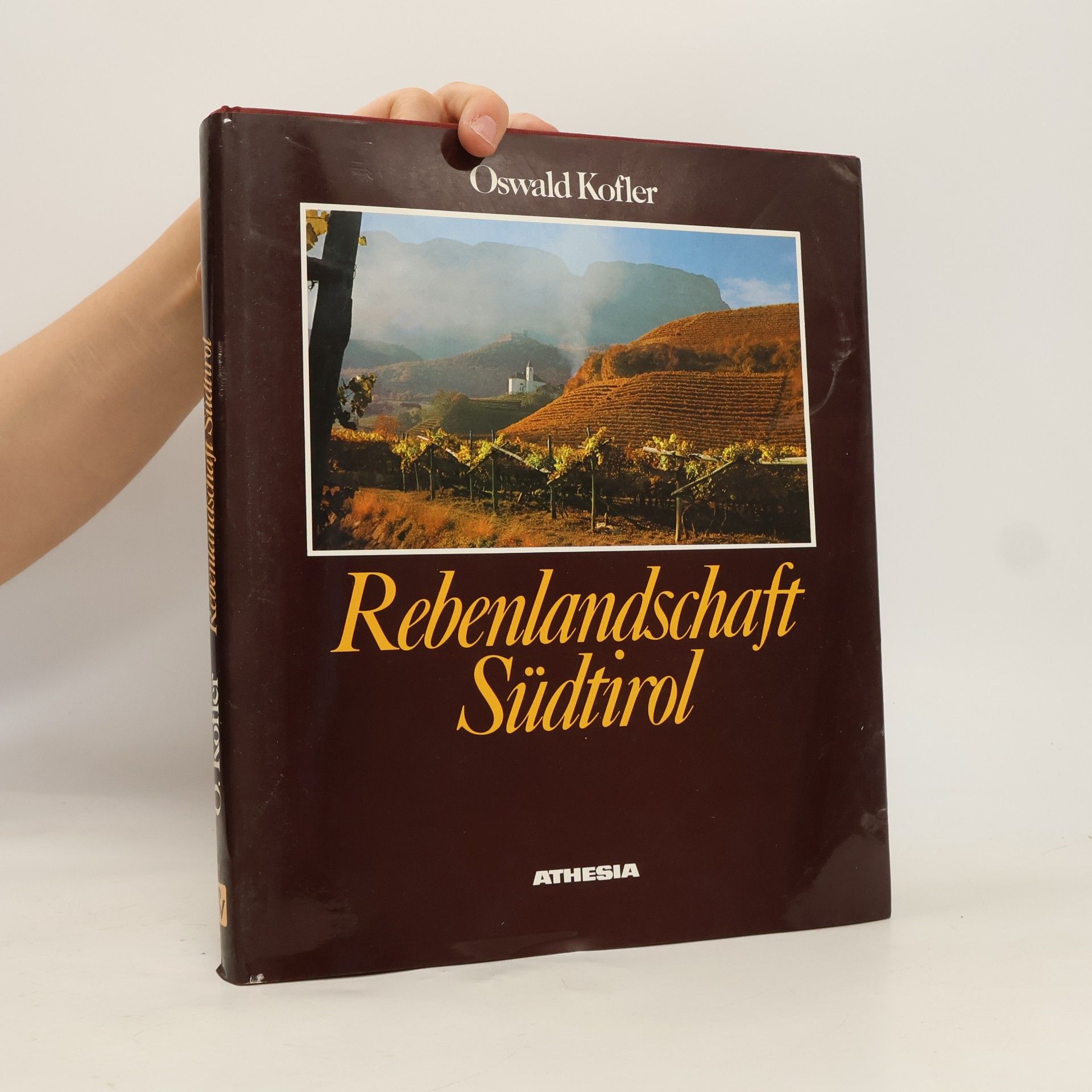 Gabriel von Pidoll Rebenlandschaft Südtirol