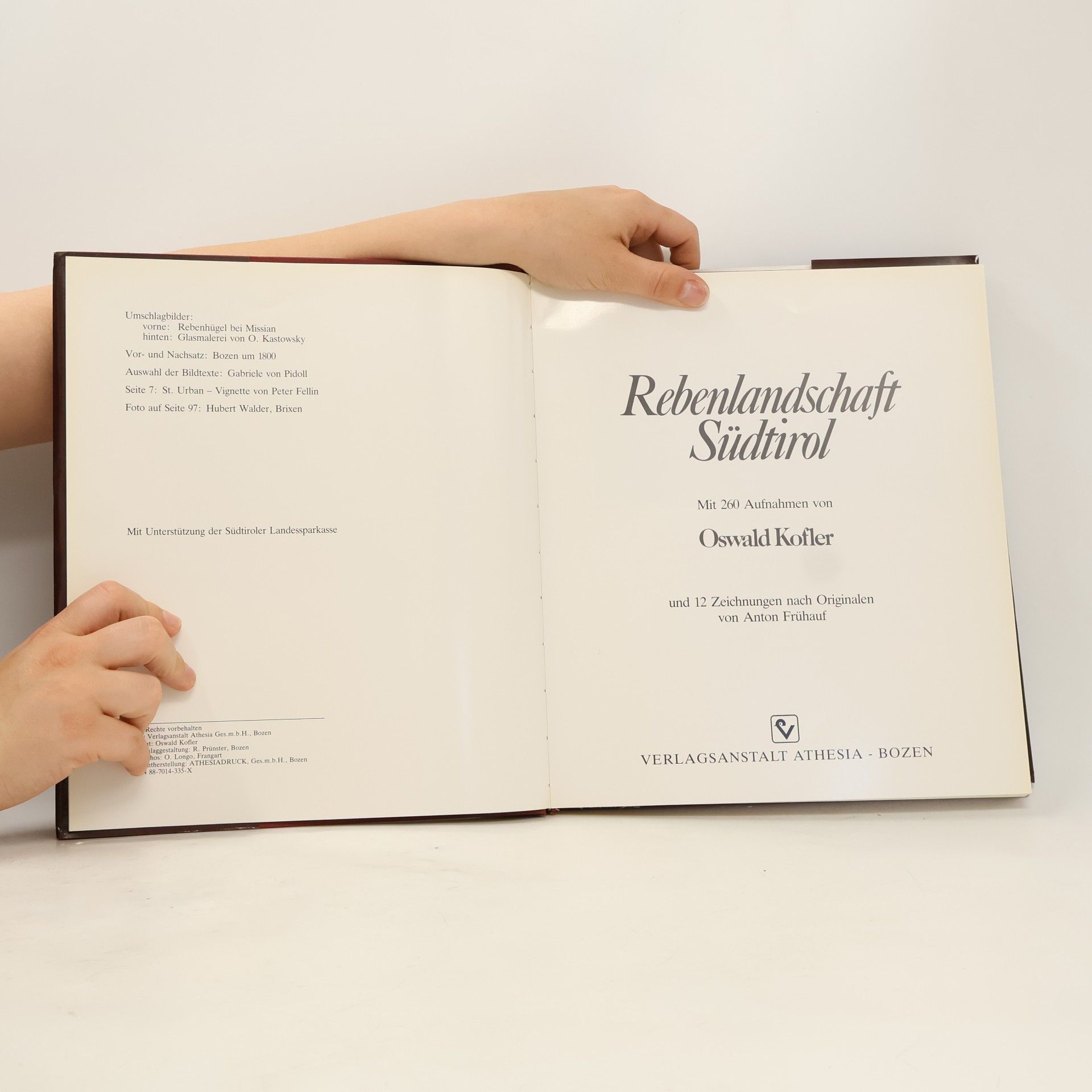 Oswald Kofler Rebenlandschaft Südtirol