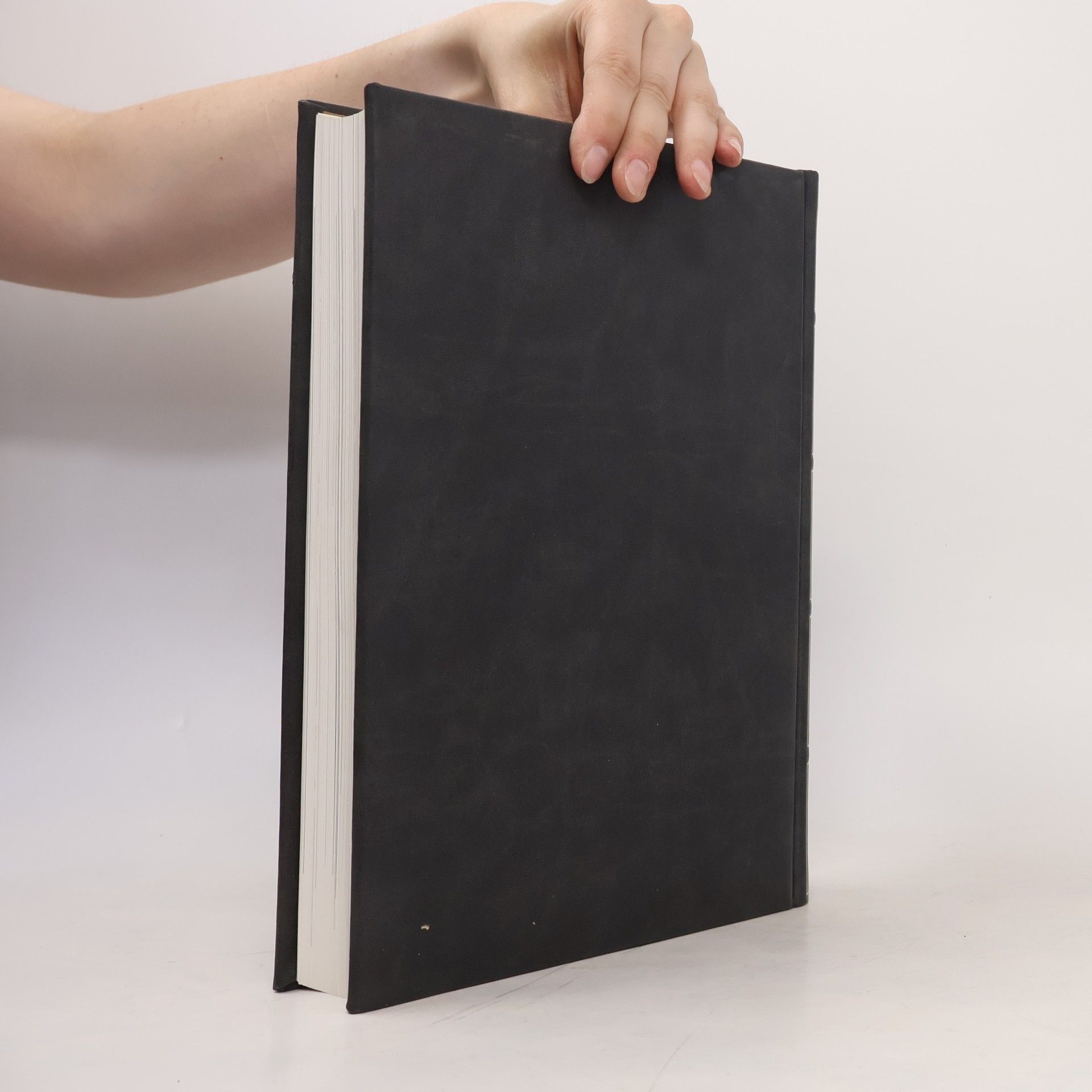 Autores varios Die Grossen XI/2