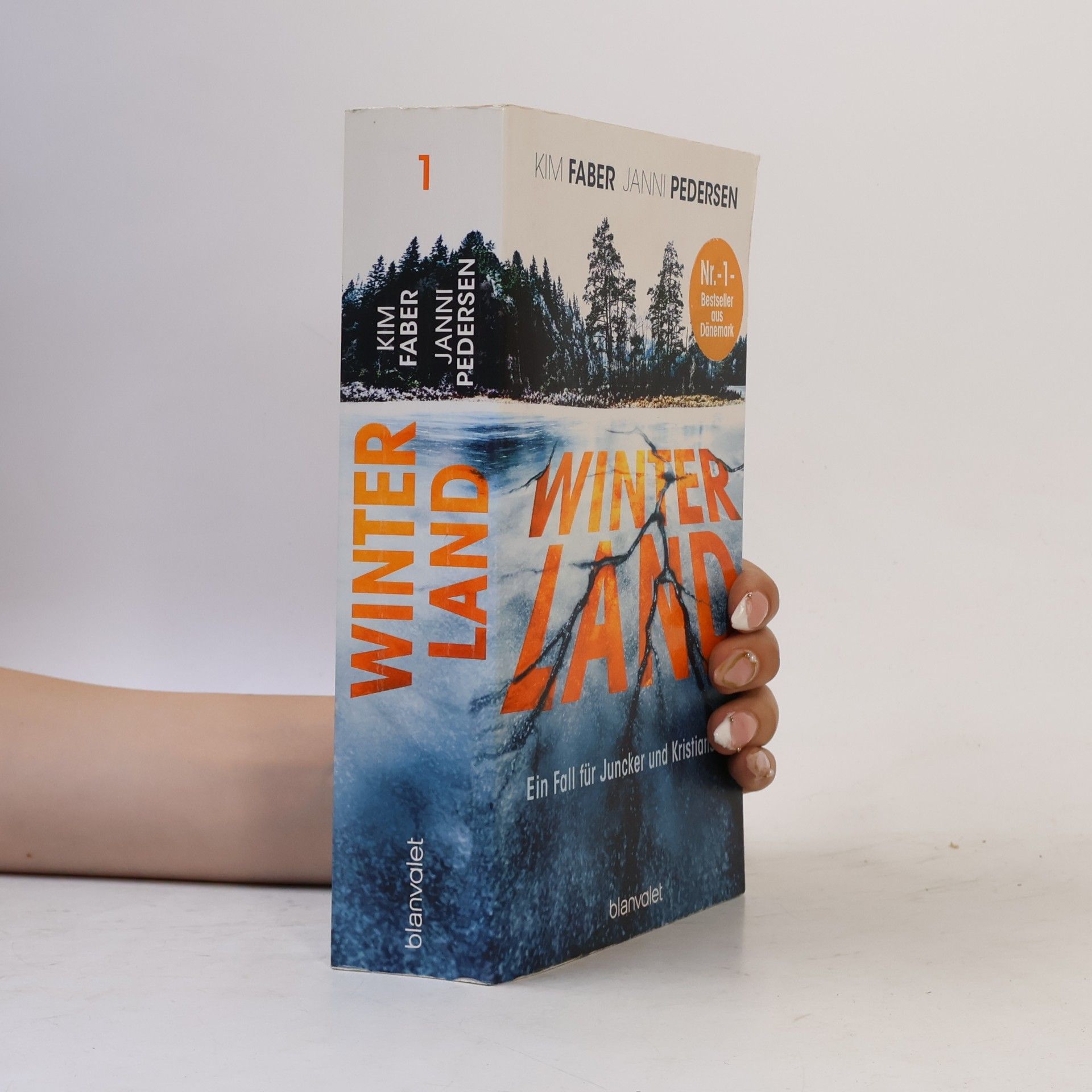 Kim Faber Winterland