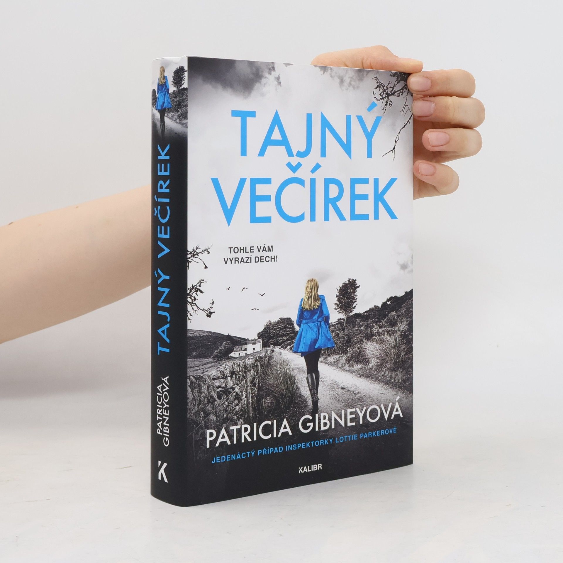 Patricia Gibney Tajný večírek