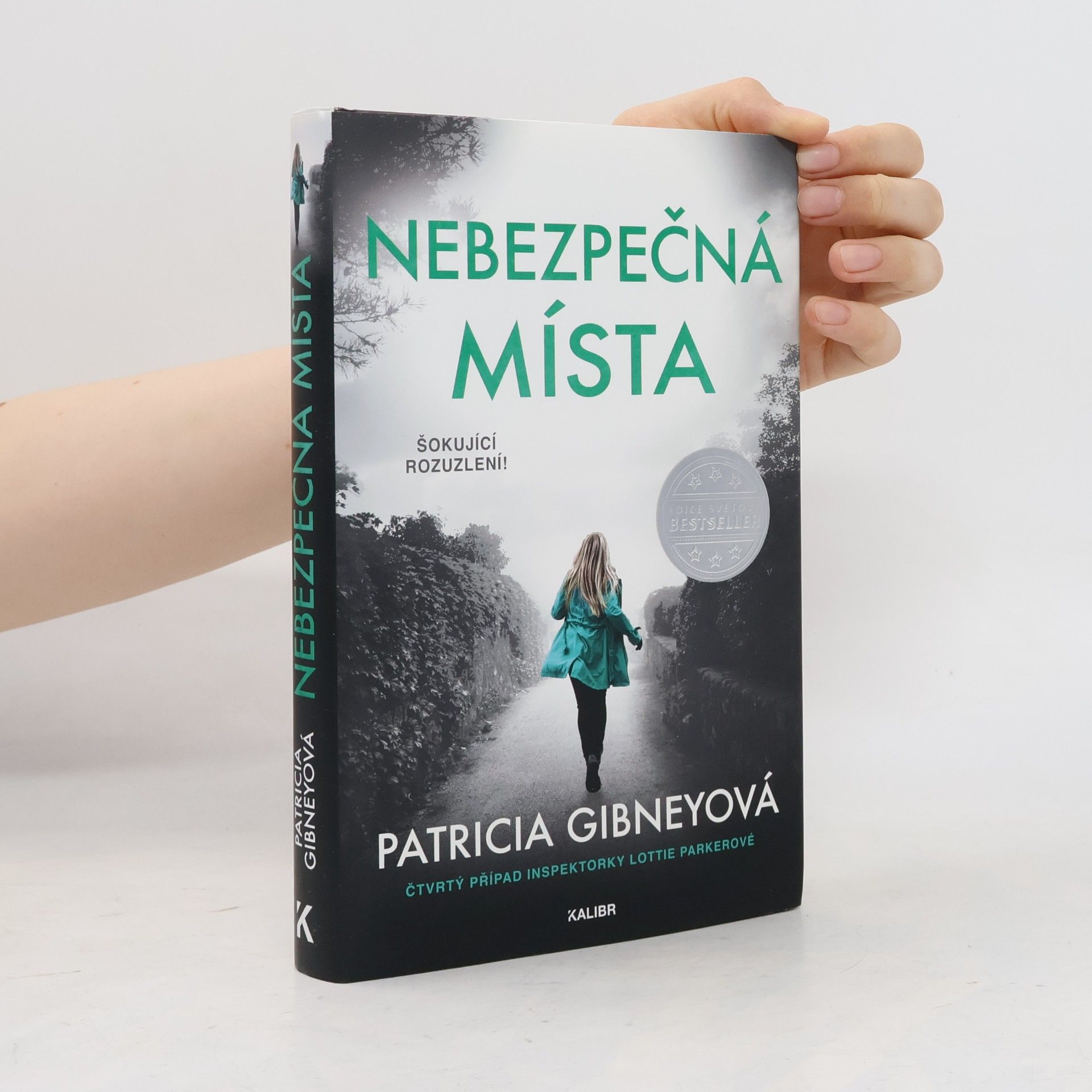 Patricia Gibney Nebezpečná místa