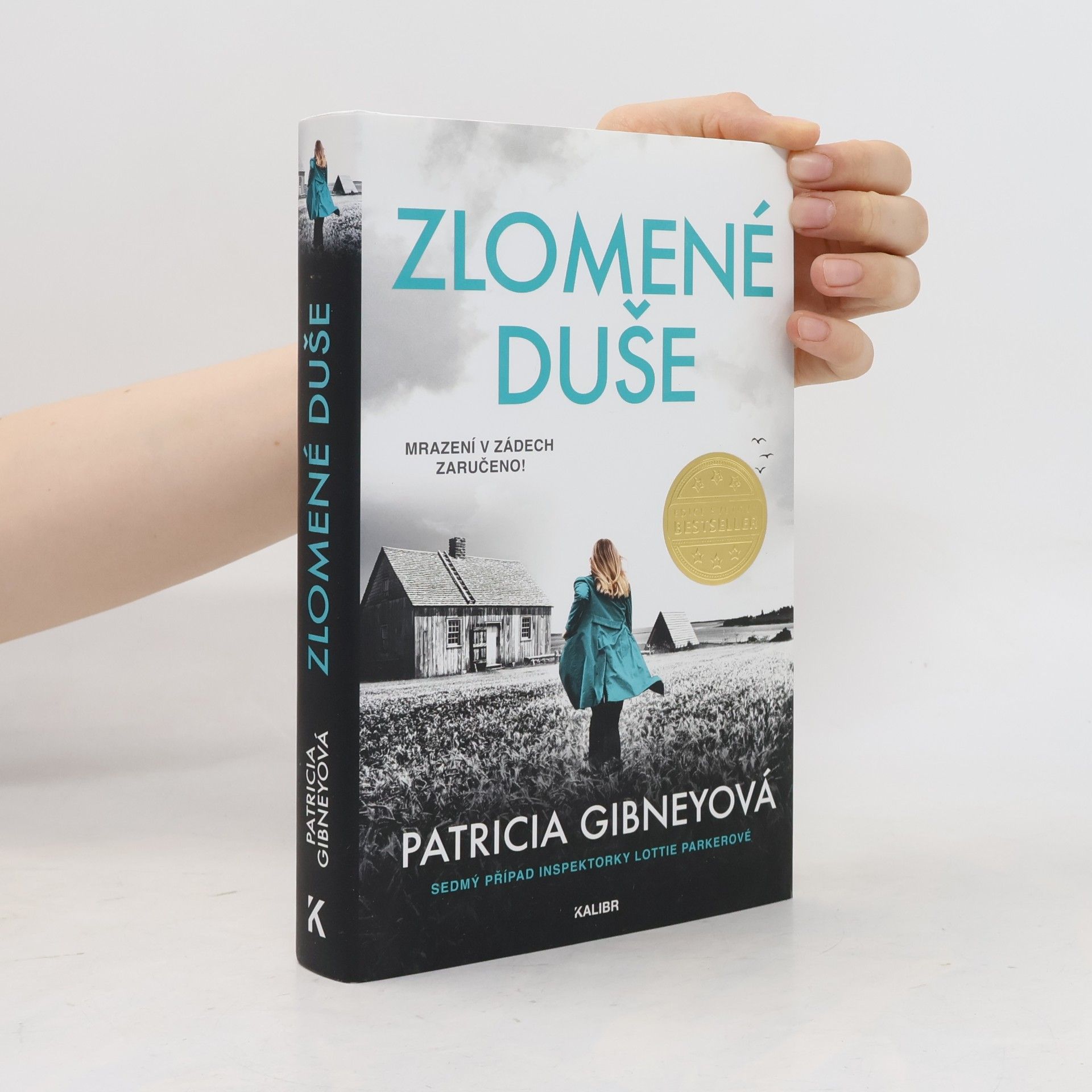 Patricia Gibney Zlomené Duše