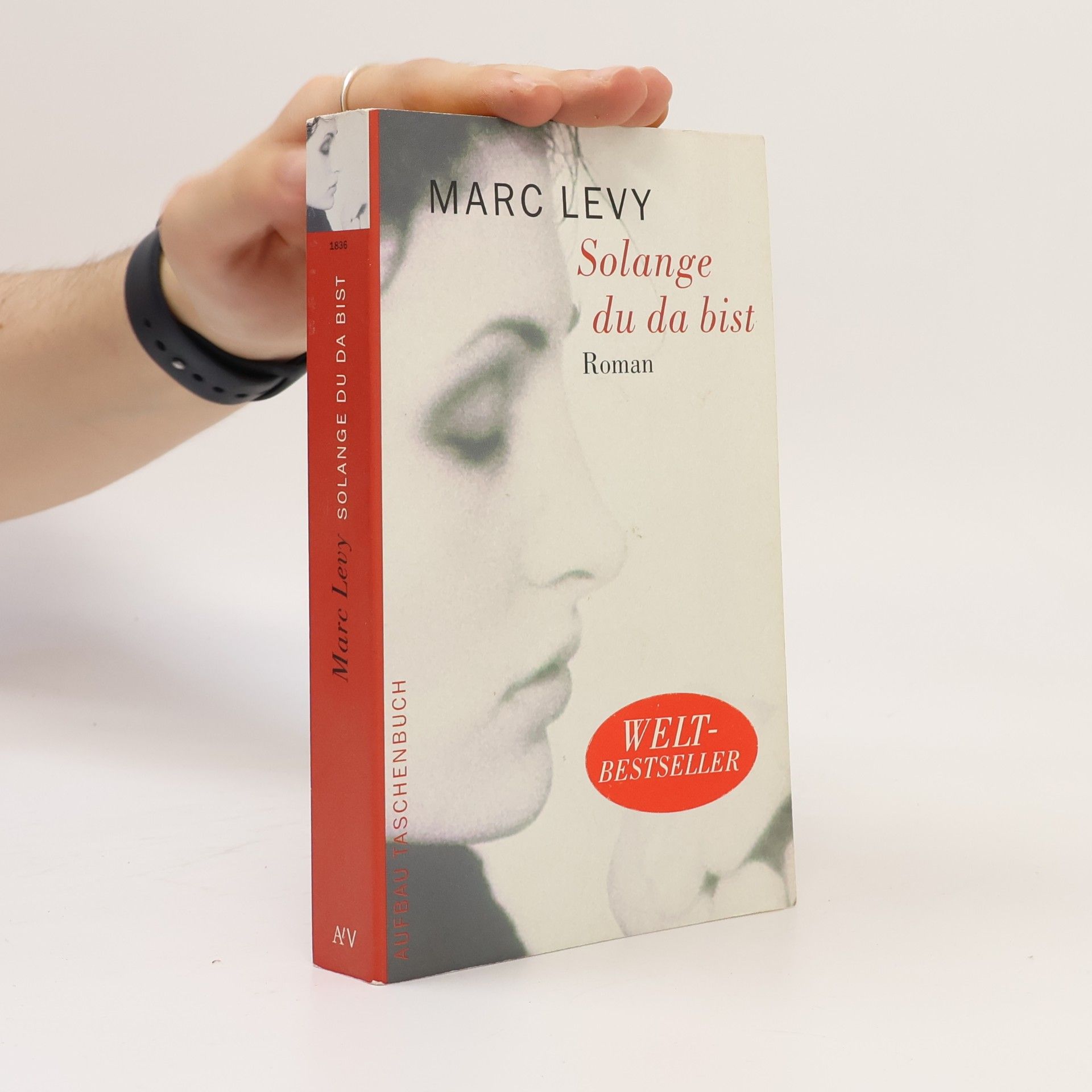 Marc Levy Solange du da bist