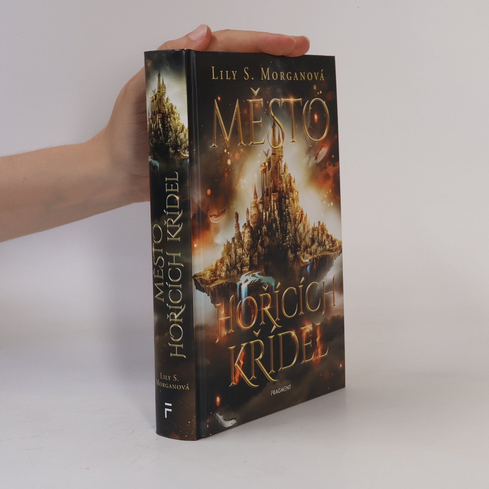 Lily S Morgan Město hořících křídel