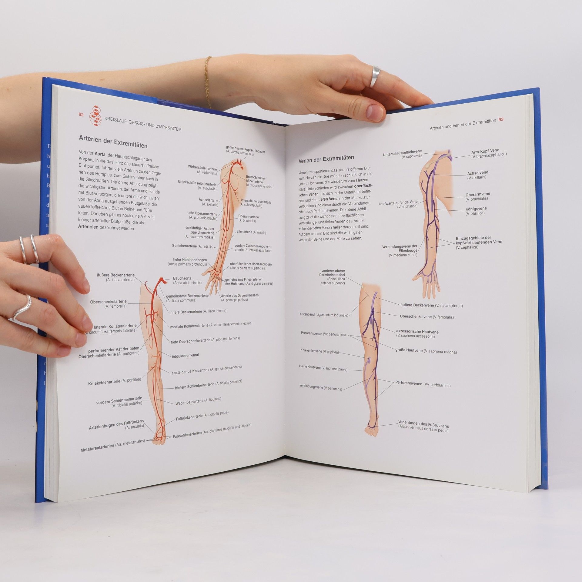 Michael Schuler Gesundheitsatlas anatomie