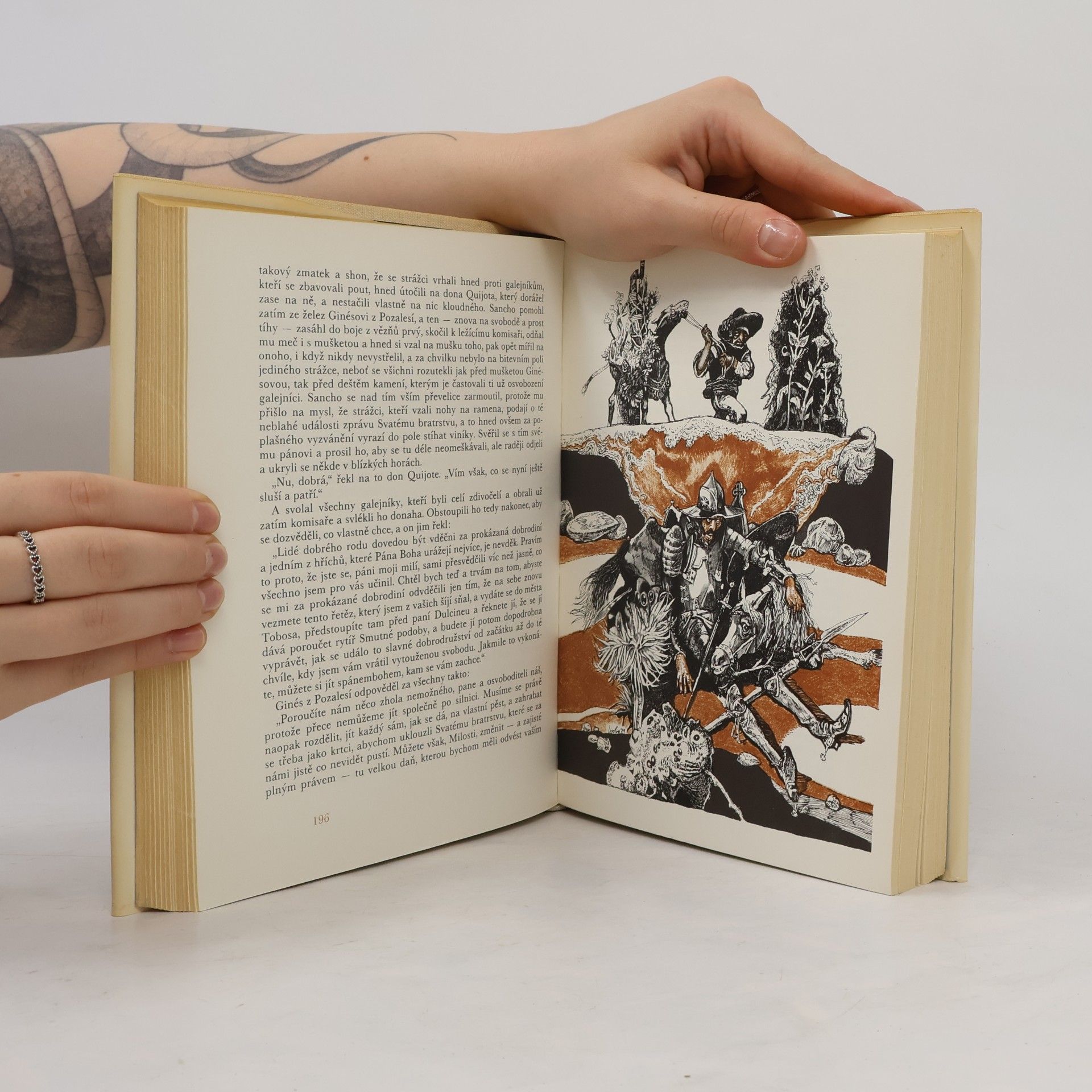 Miguel de Cervantes Důmyslný rytíř Don Quijote de la Mancha 1