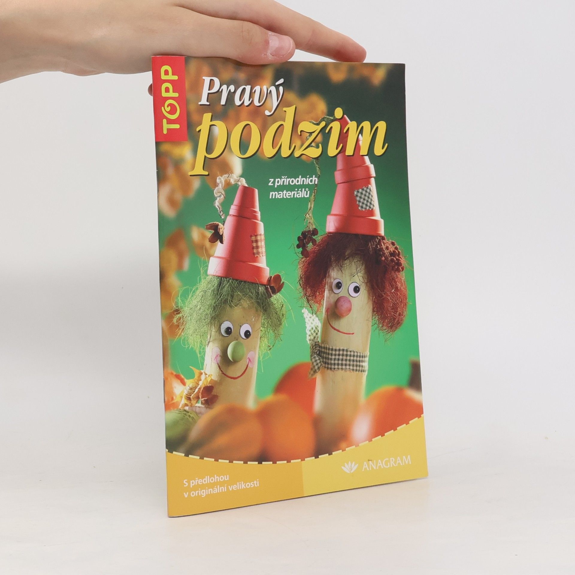 Collectif d'auteurs Pravý podzim