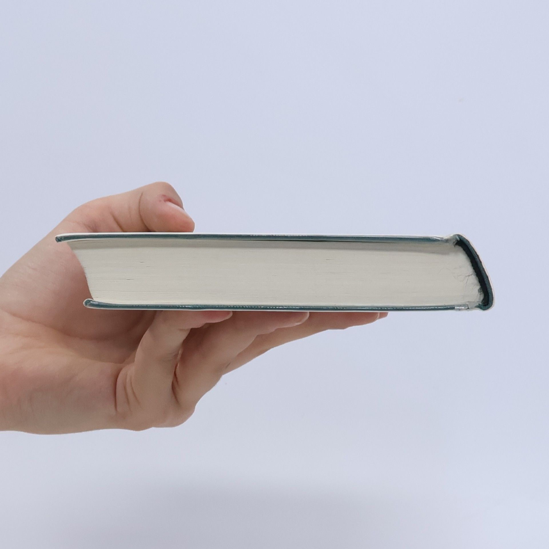 Donna Leon Das Mädchen seiner Träume