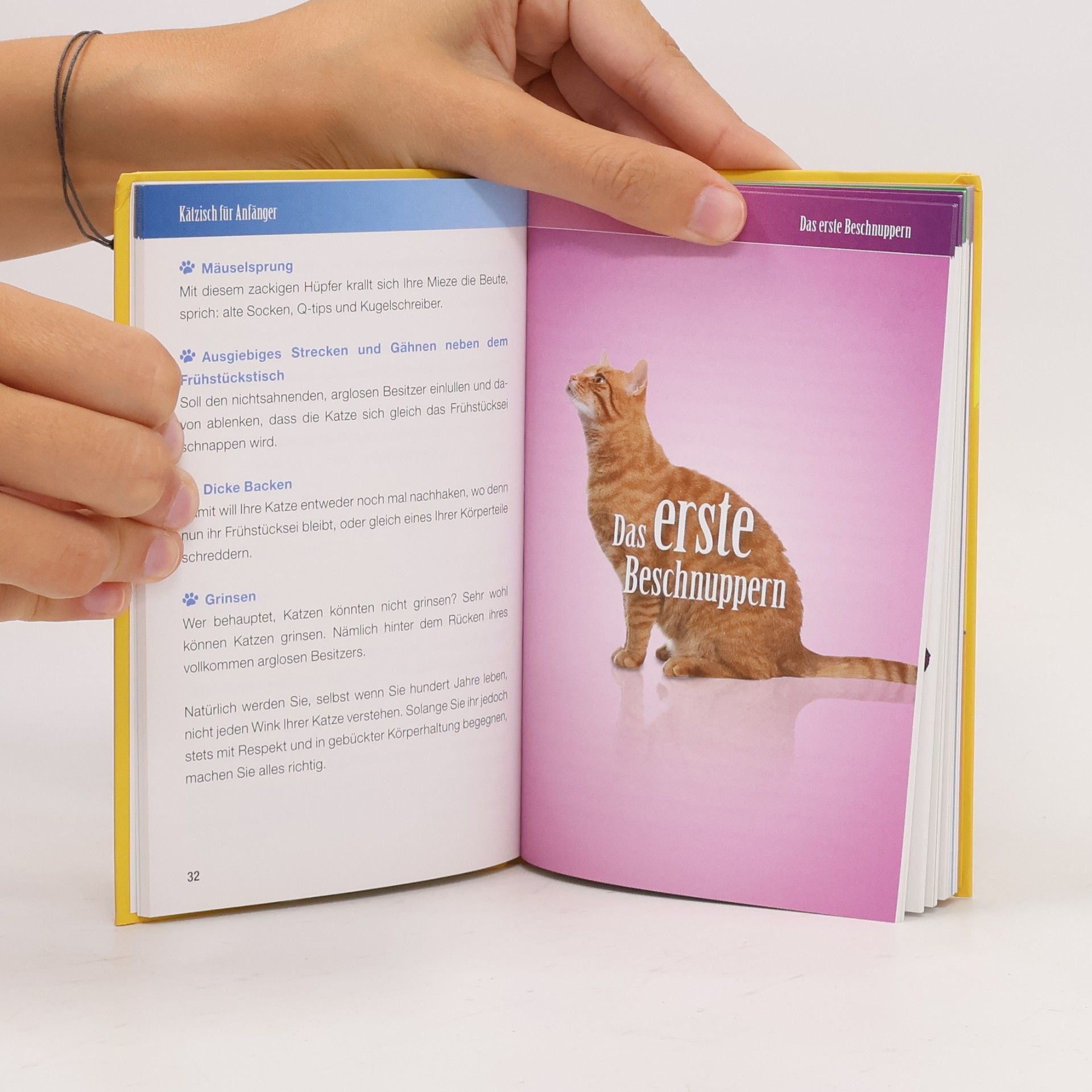 Nina Puri Langenscheidt, Katze-Deutsch, Deutsch-Katze