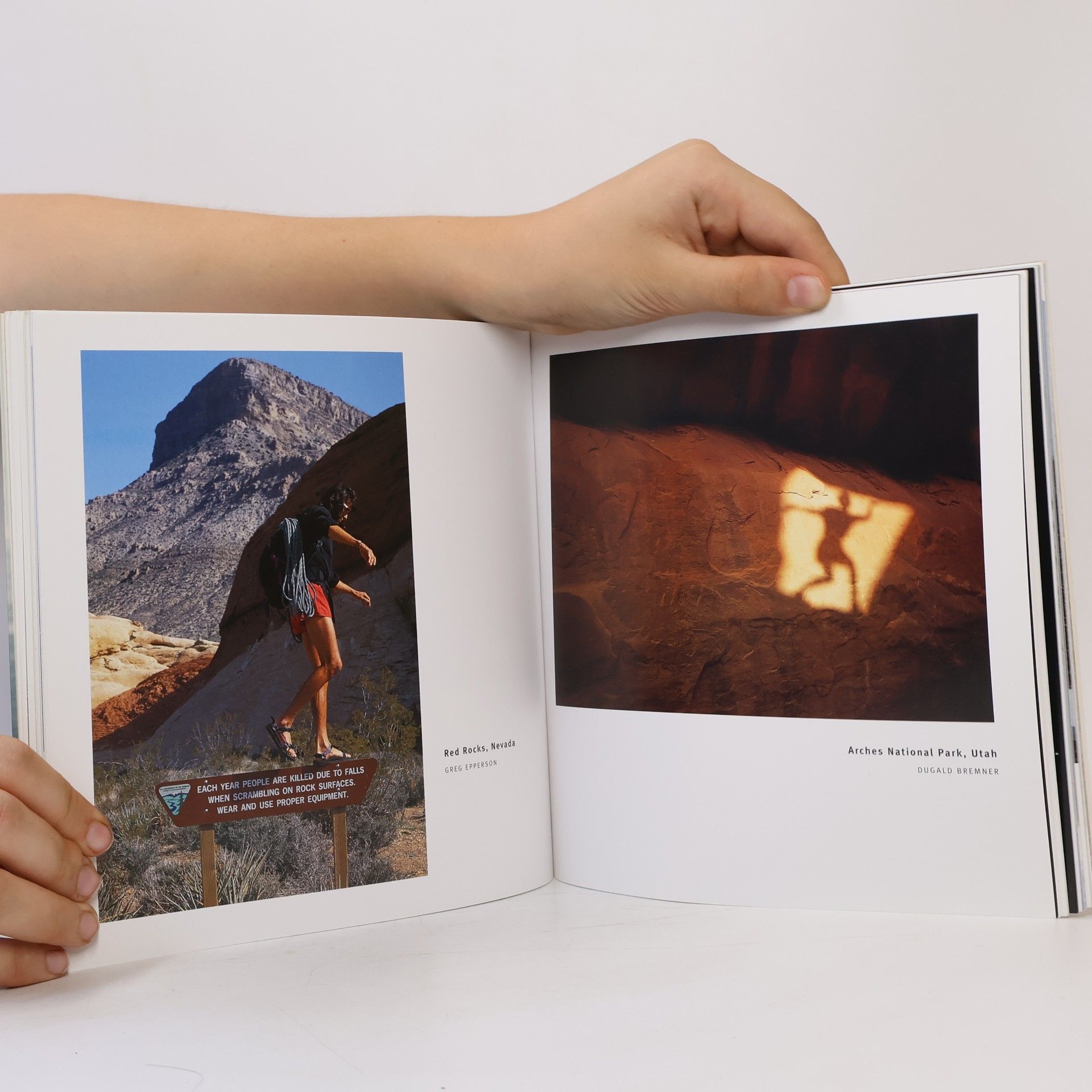 Various authors The Polar Bear Waltz and Other Moments of Epic Silliness