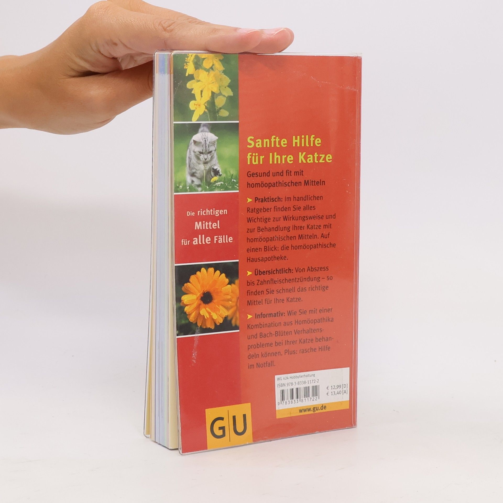 Elke Fischer Homöopathie für Katzen