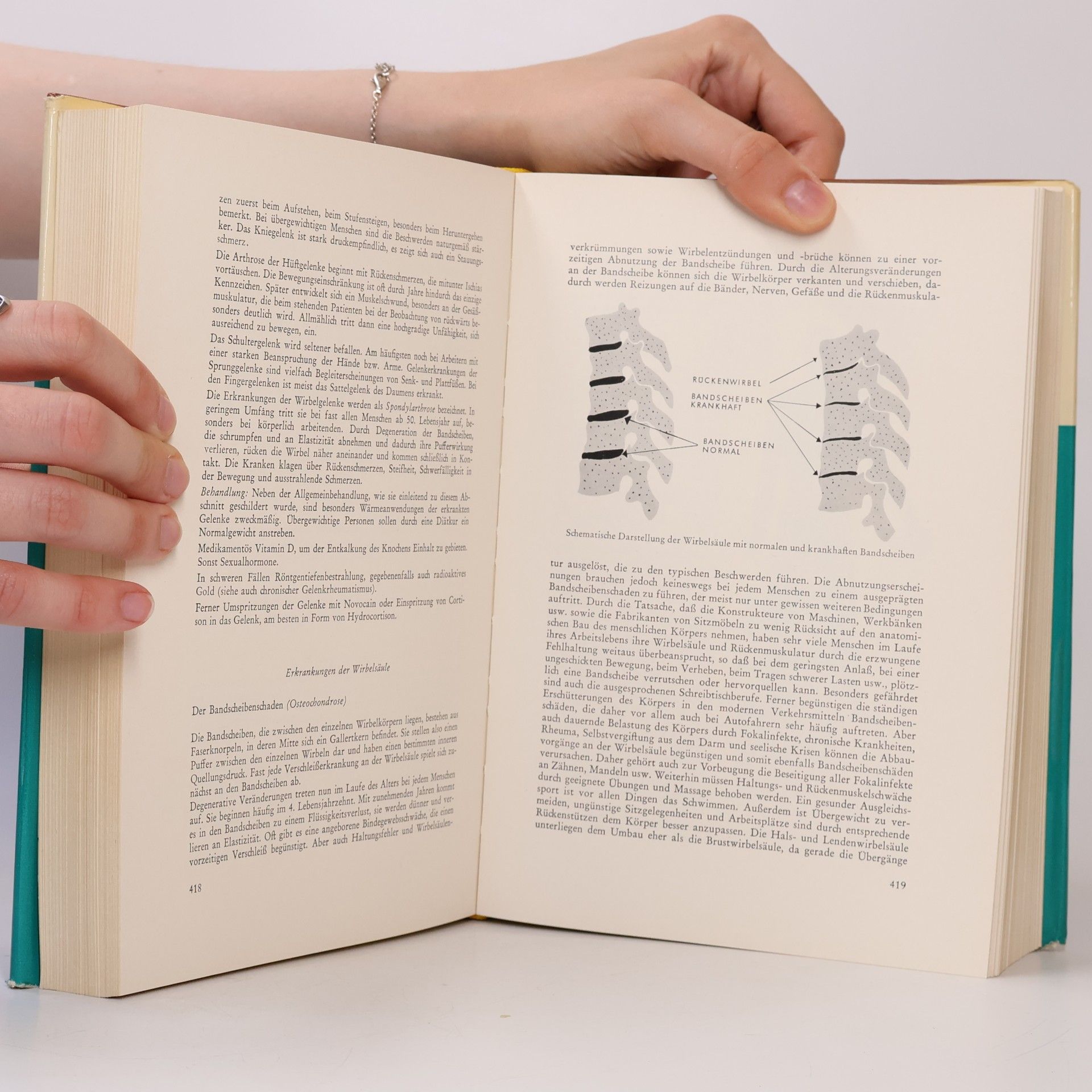 Autorenkollektiv Hausbuch der modernen Heilkunde