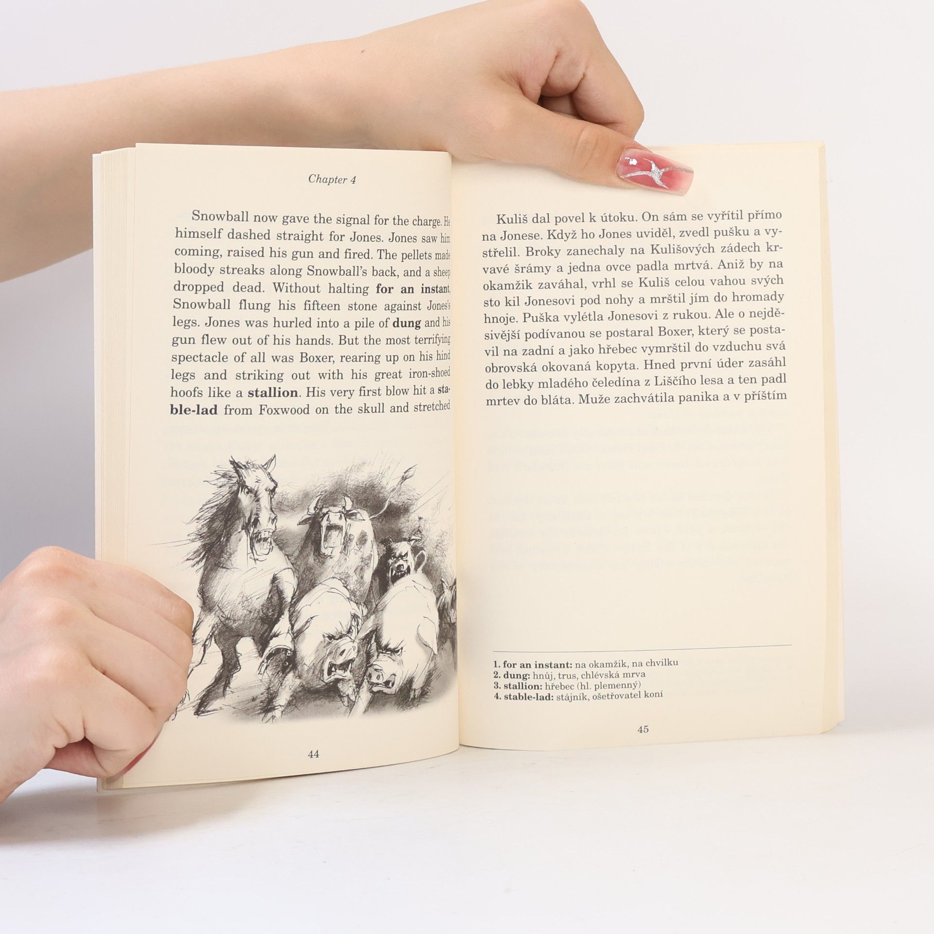AA.VV. Animal farm. Farma zvířat. Podle příběhu George Orwella