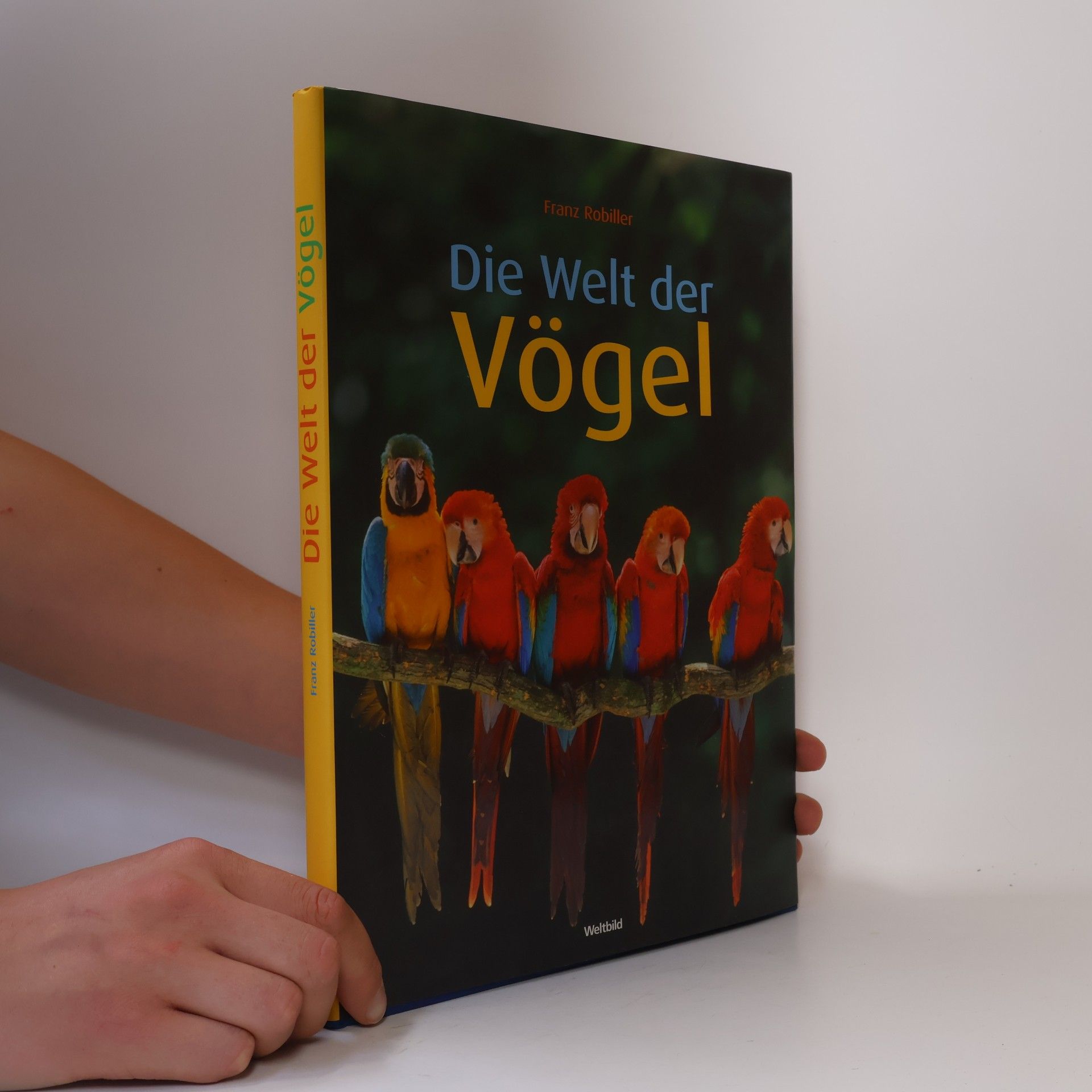 Die Welt der Vögel