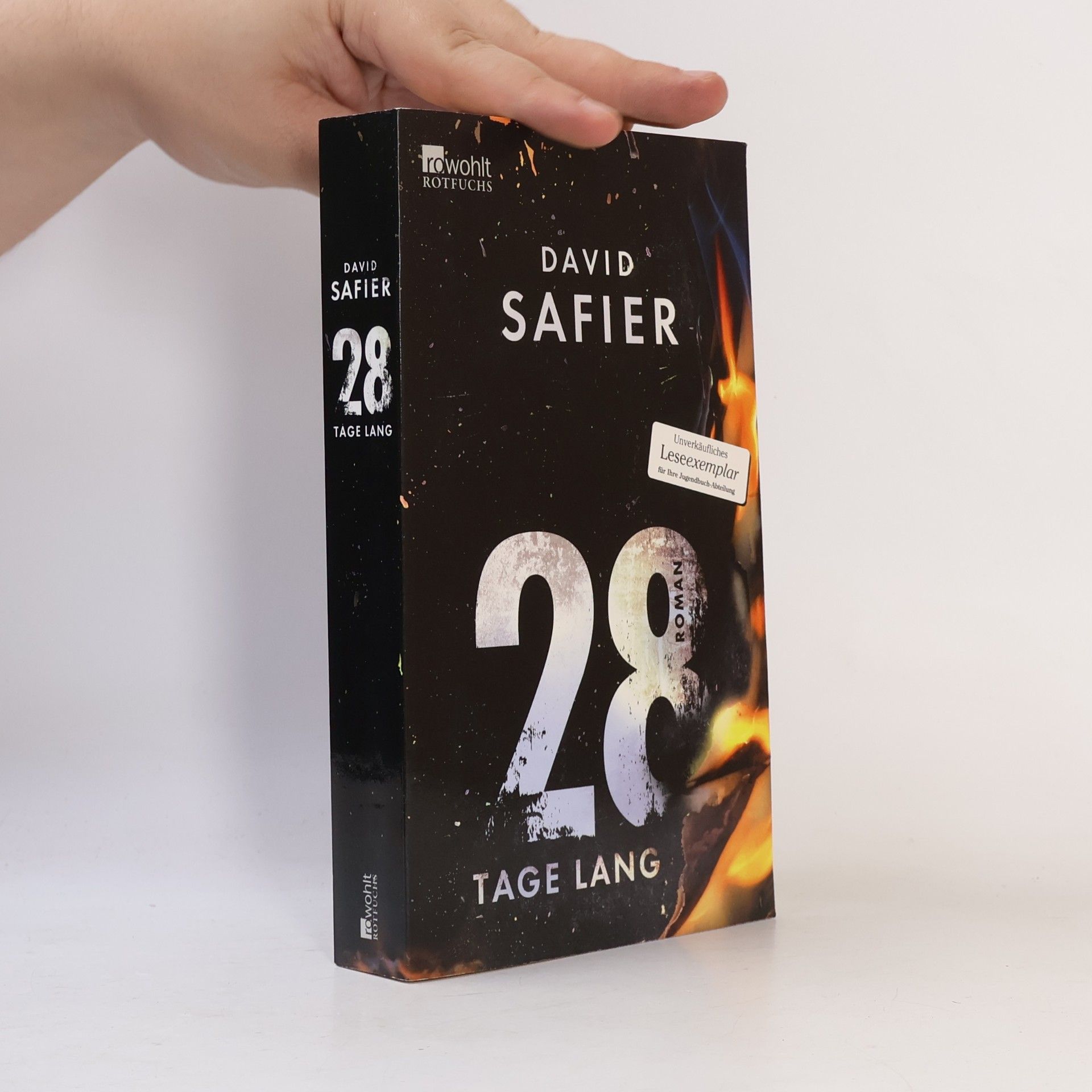 David Safier 28 Tage lang