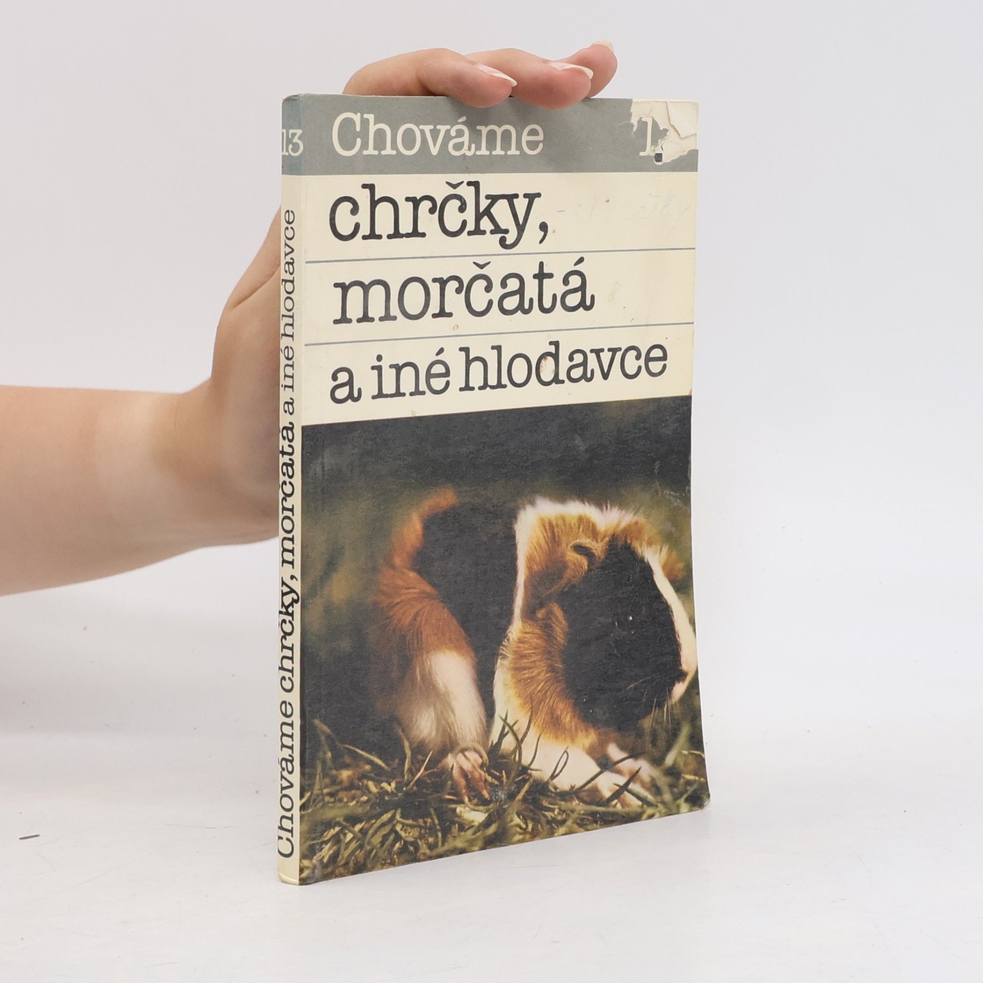 Bystrík Ambruš Chováme chrčky, morčatá a iné hlodavce 13
