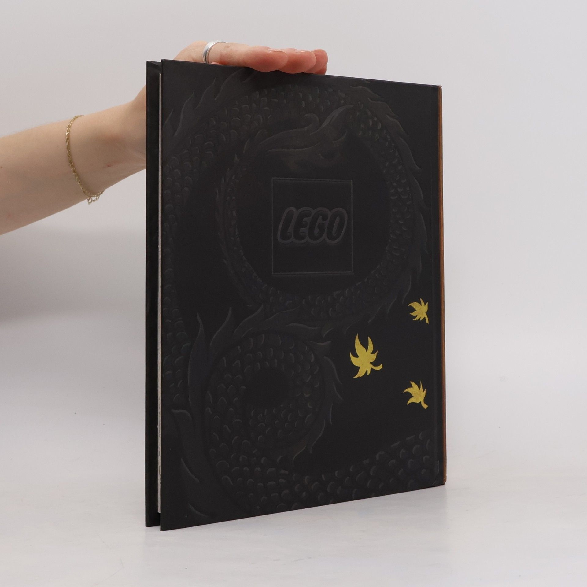 Kolektiv autorů Kniha Spinjitzu Lego