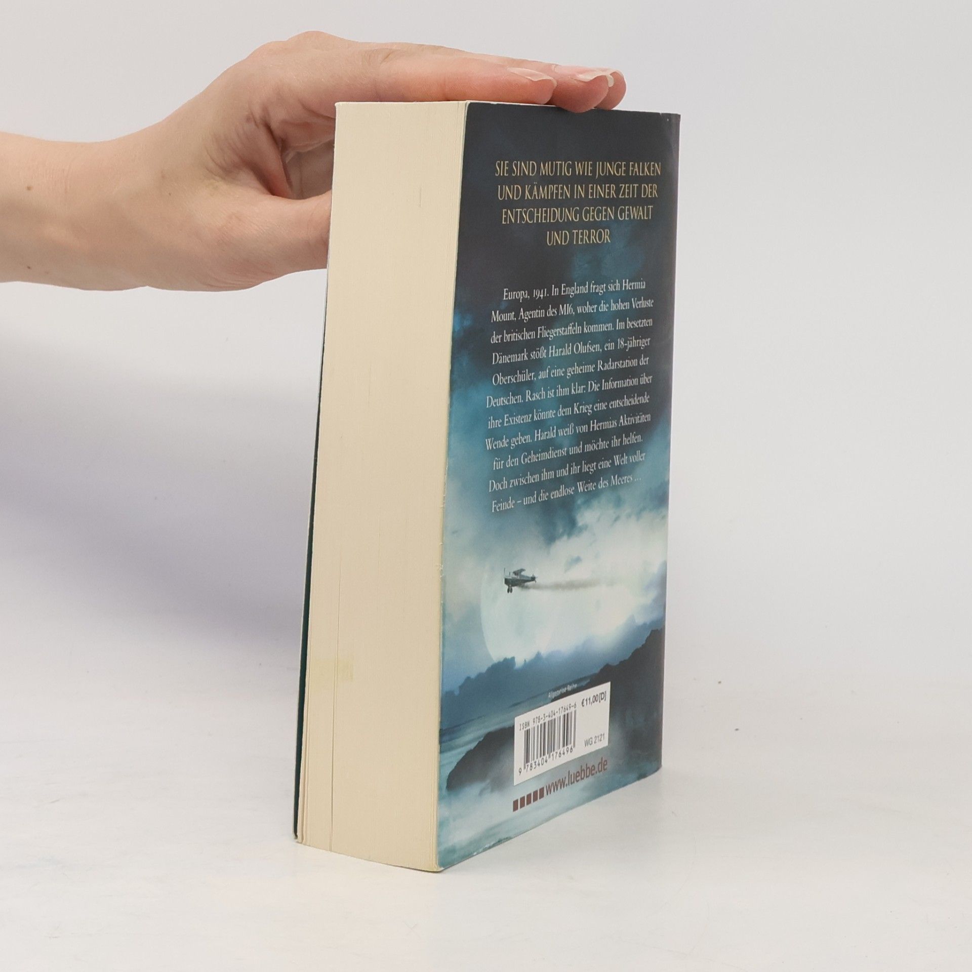 Ken Follett Mitternachtsfalken