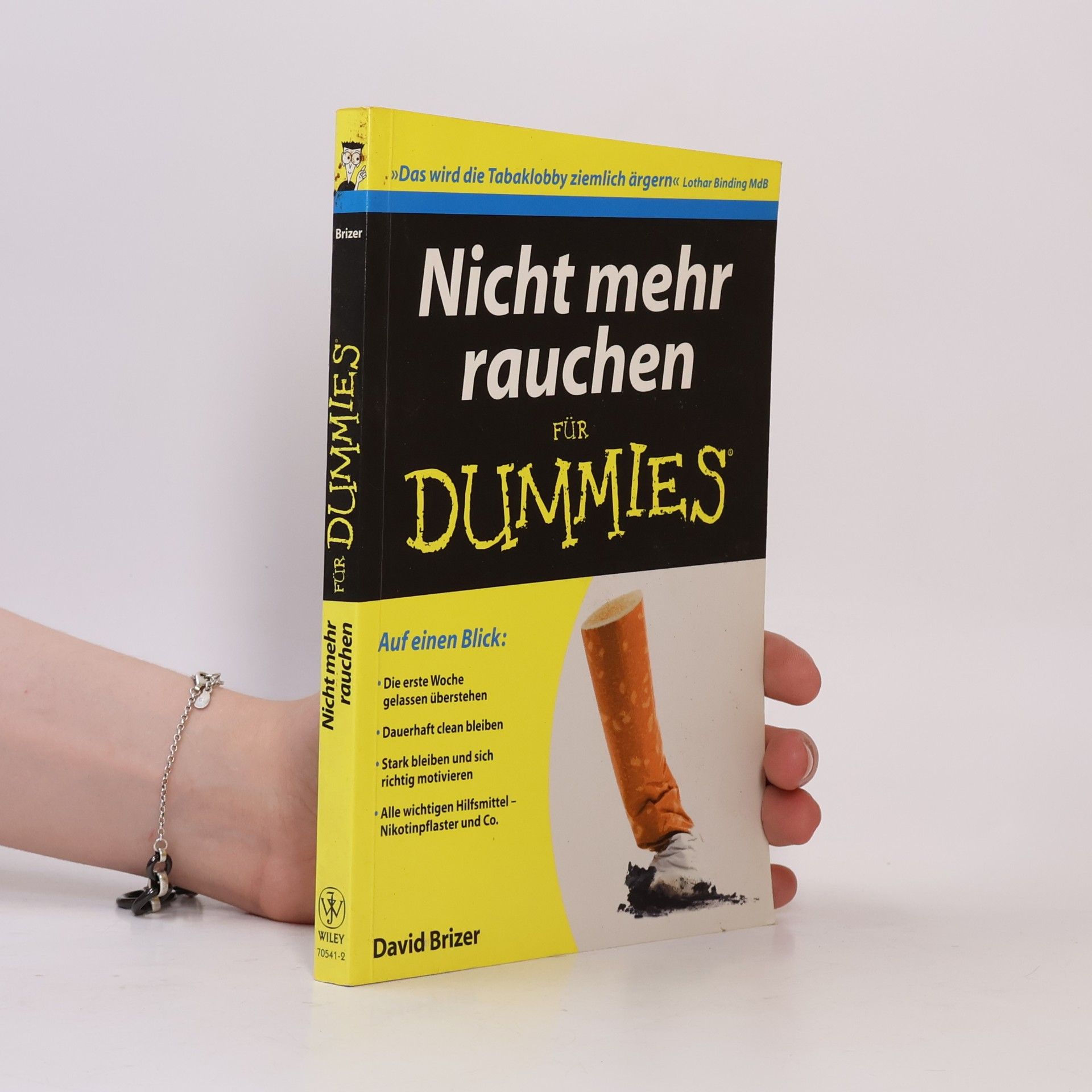 David Brizer Nicht mehr rauchen für dummies