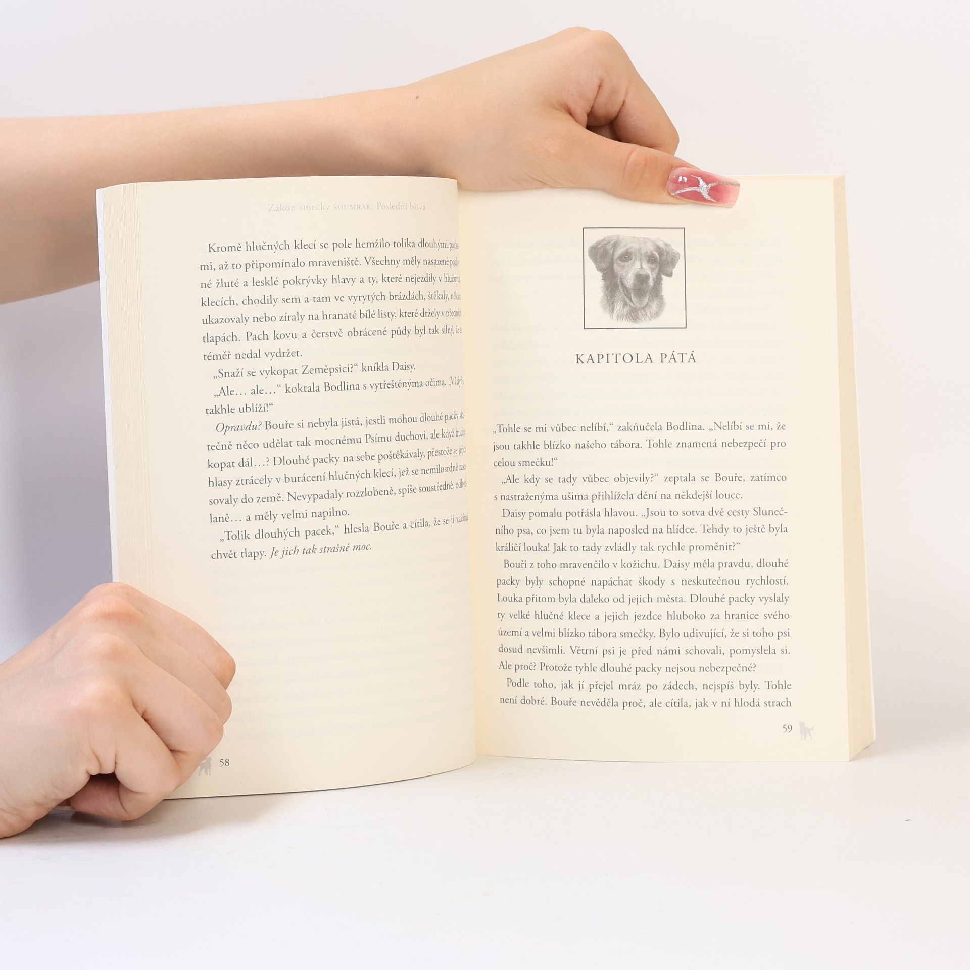 Erin Hunter Poslední bitva