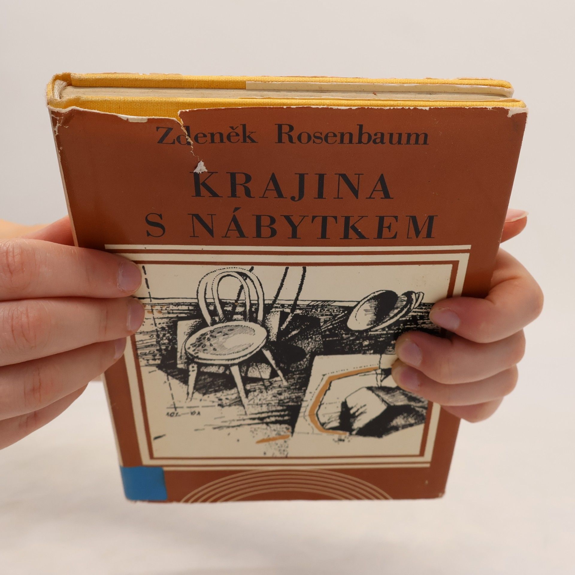 Zdeněk Rosenbaum Krajina s nábytkem