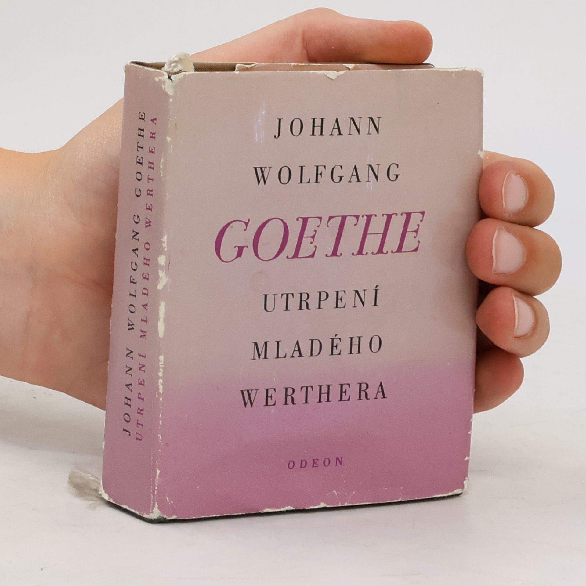 Johann Wolfgang von Goethe Utrpení mladého Werthera