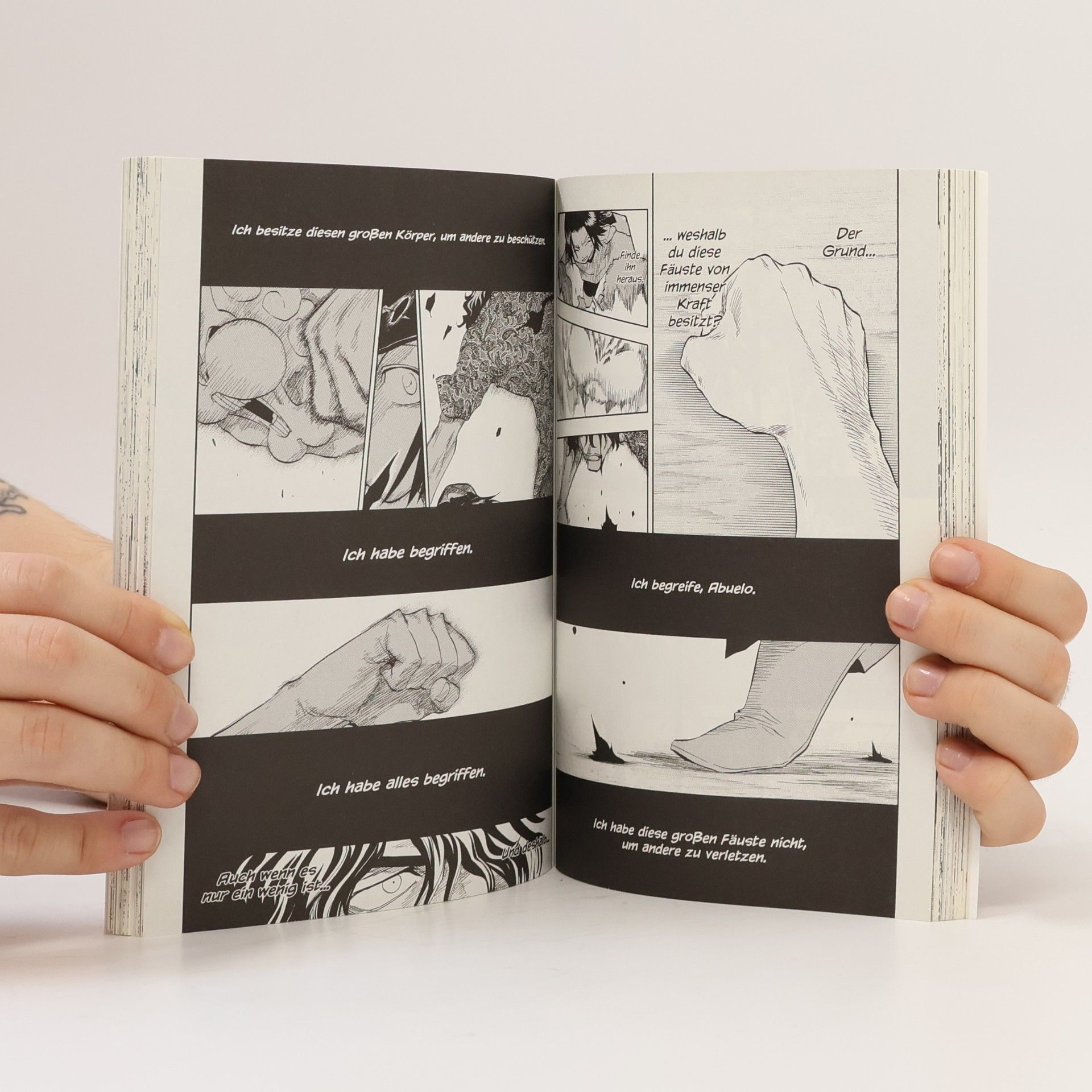 Tite Kubo Bleach - Der rechte Arm des Giganten