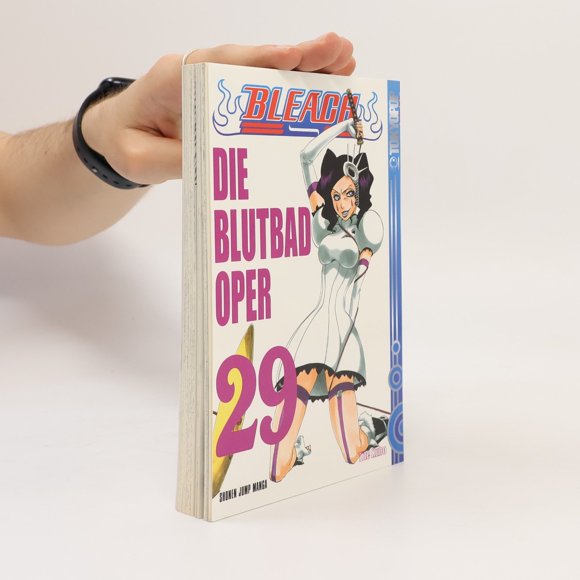 Tite Kubo Bleach 29