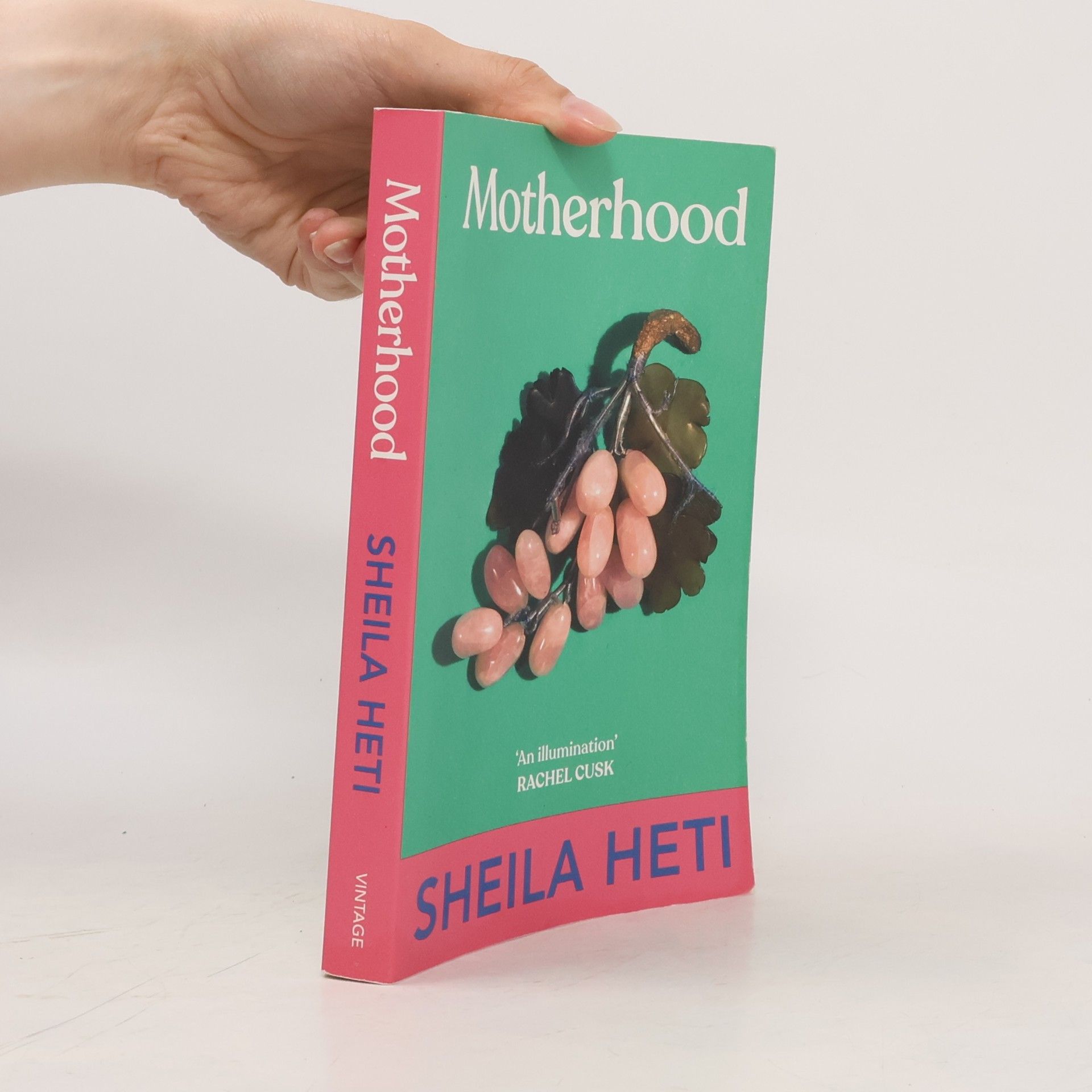 Sheila Heti Motherhood