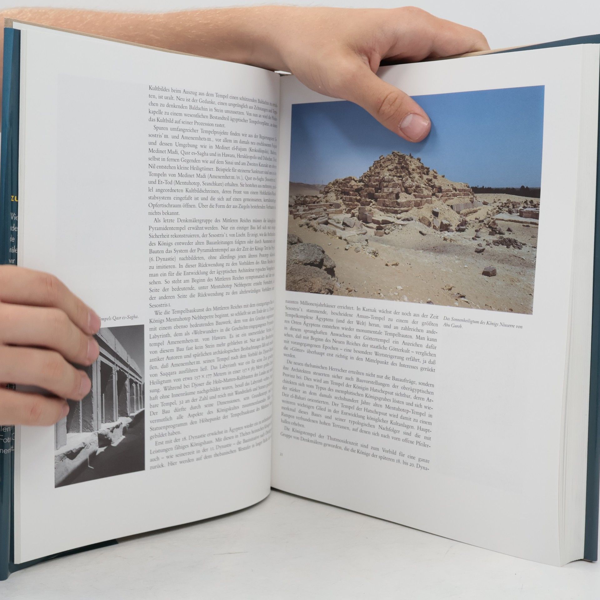 Dieter Arnold Die Tempel Ägyptens
