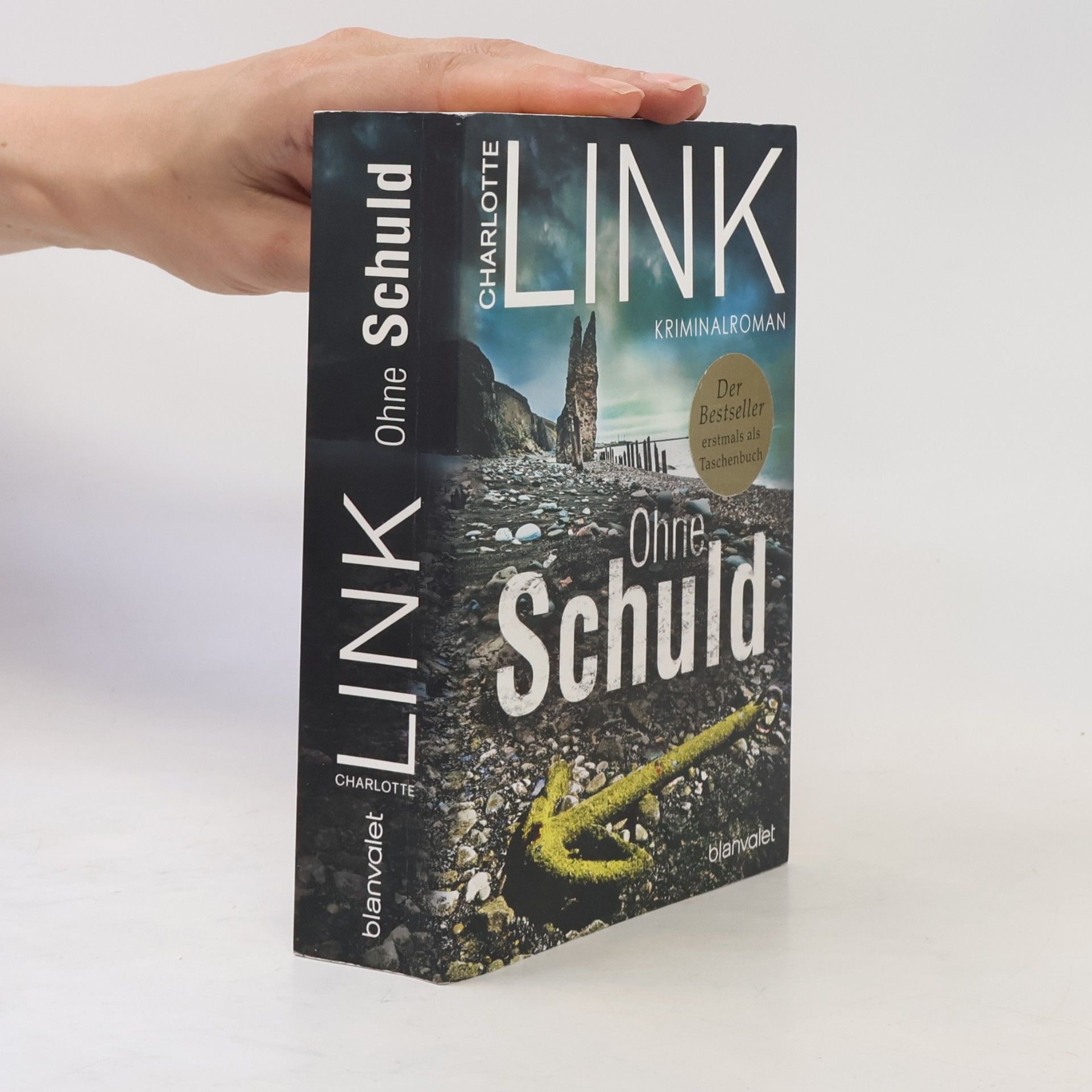 Charlotte Link Ohne Schuld