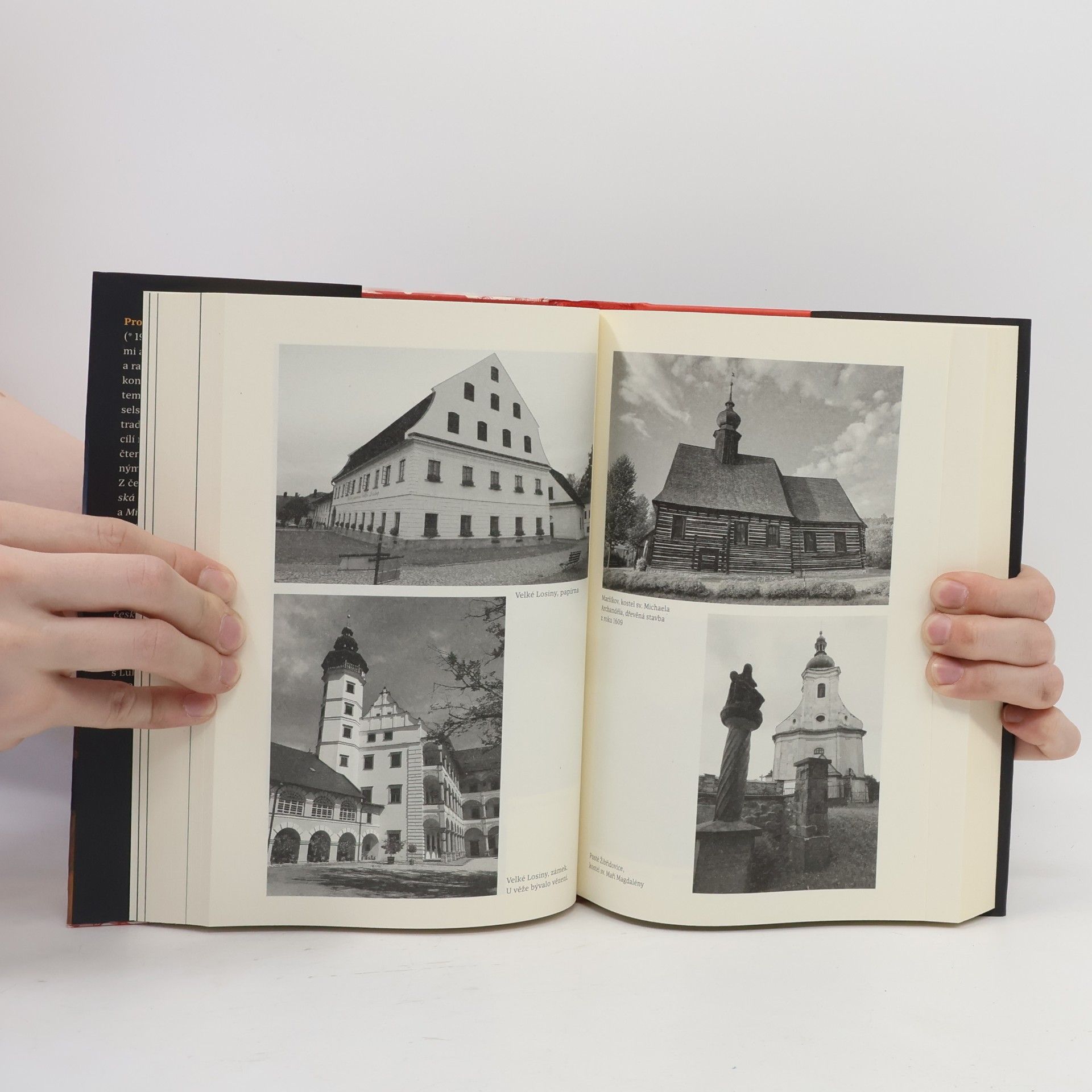 Jaroslav Čechura Kronika jednoho šílenství: Čarodějnice na severní Moravě v 17. století