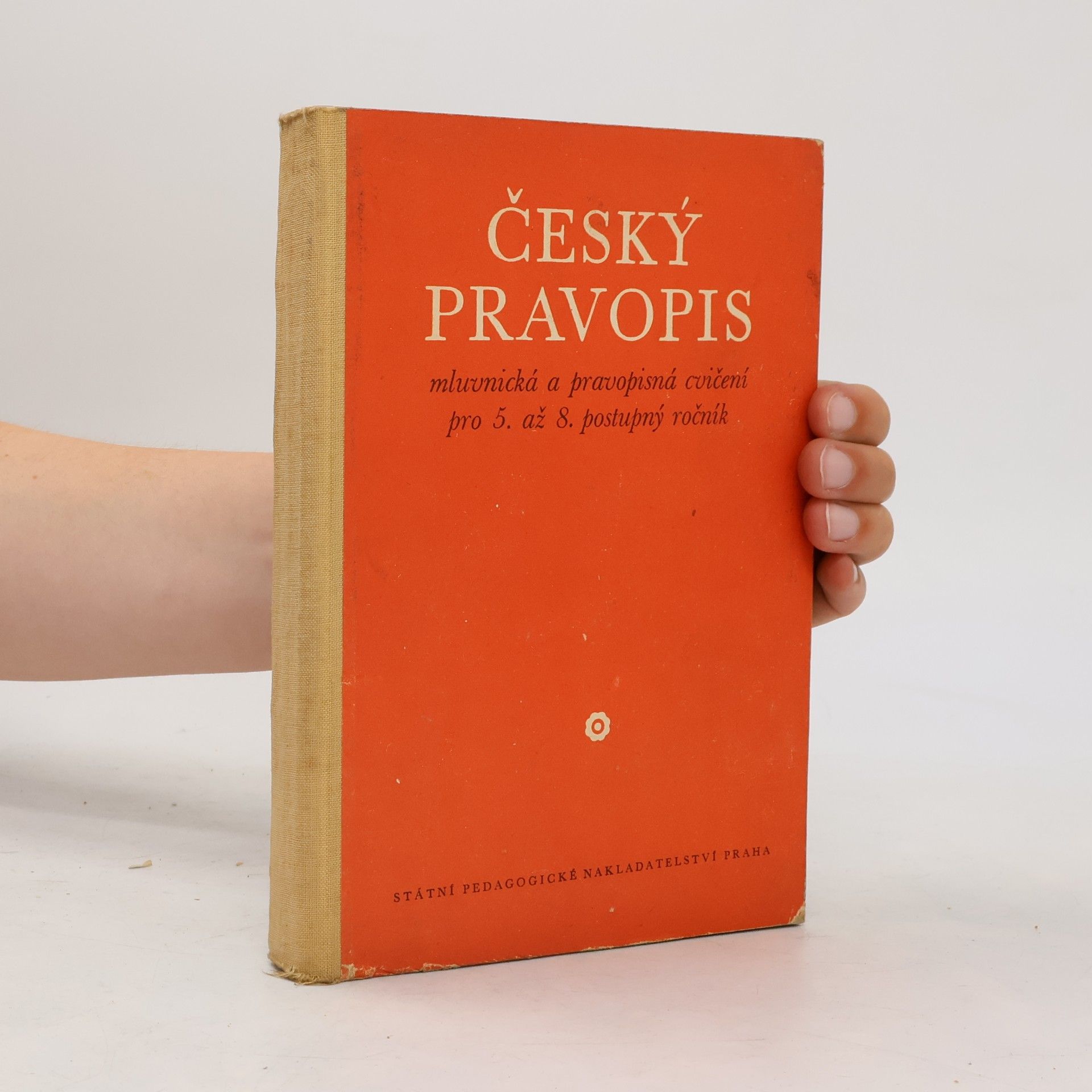 Autorenkollektiv Český pravopis