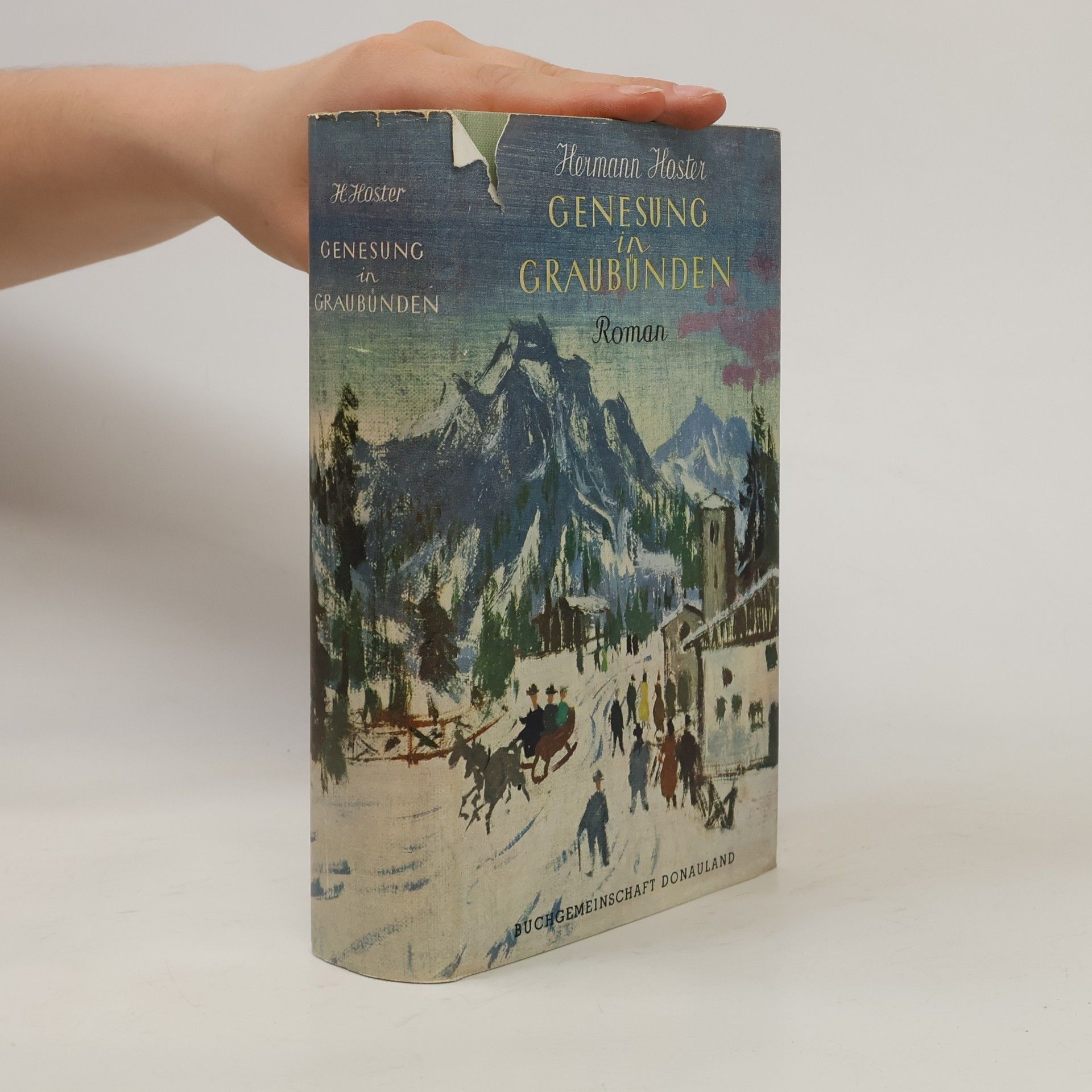 Hermann Hoster Genesung in Graubünden