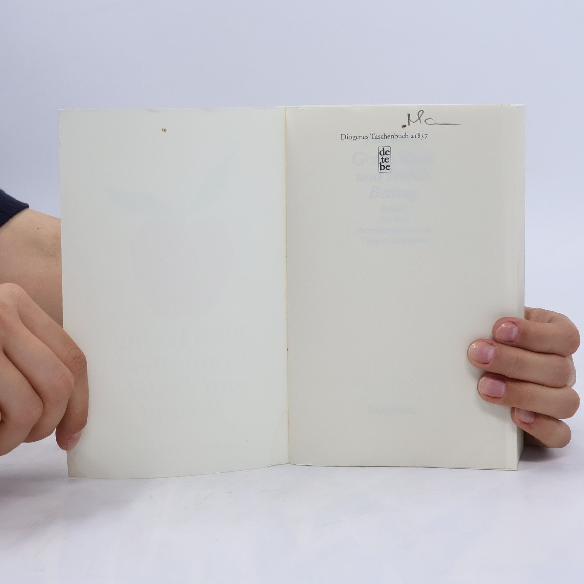 John Irving Gottes Werk und Teufels Beitrag