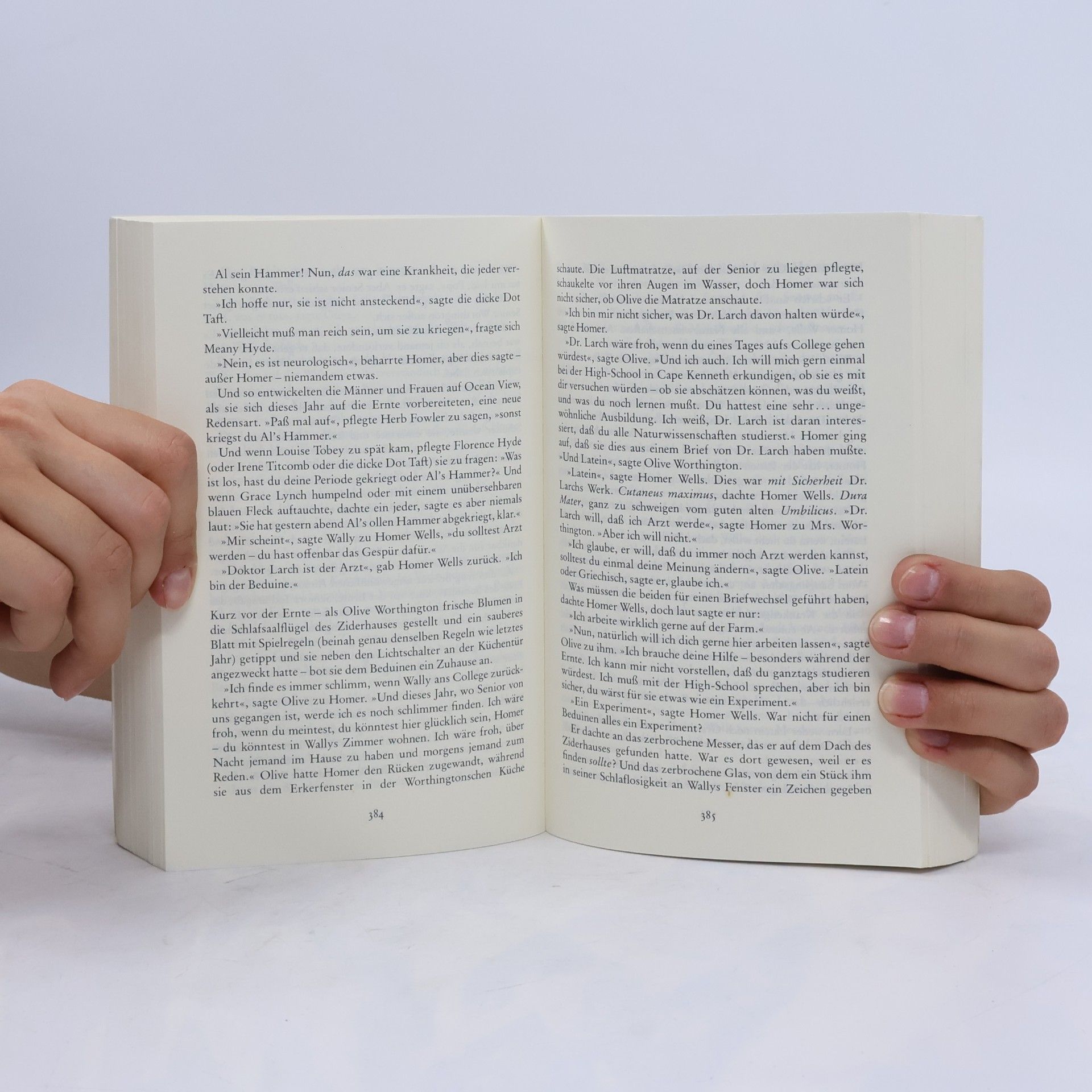 John Irving Gottes Werk und Teufels Beitrag