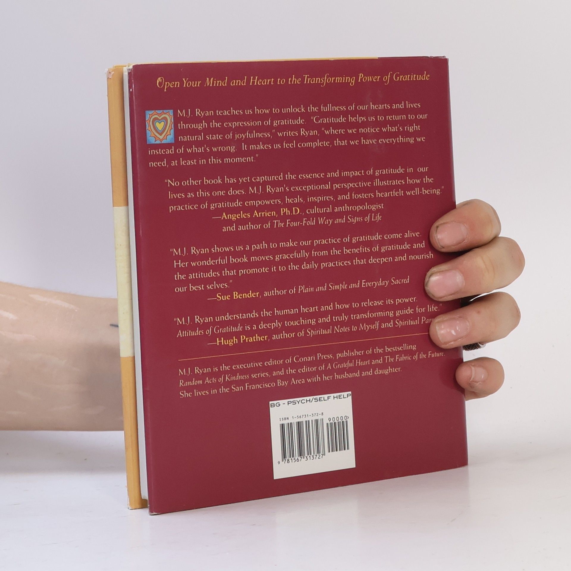 Mary Jane Ryan Attitudes of Gratitude