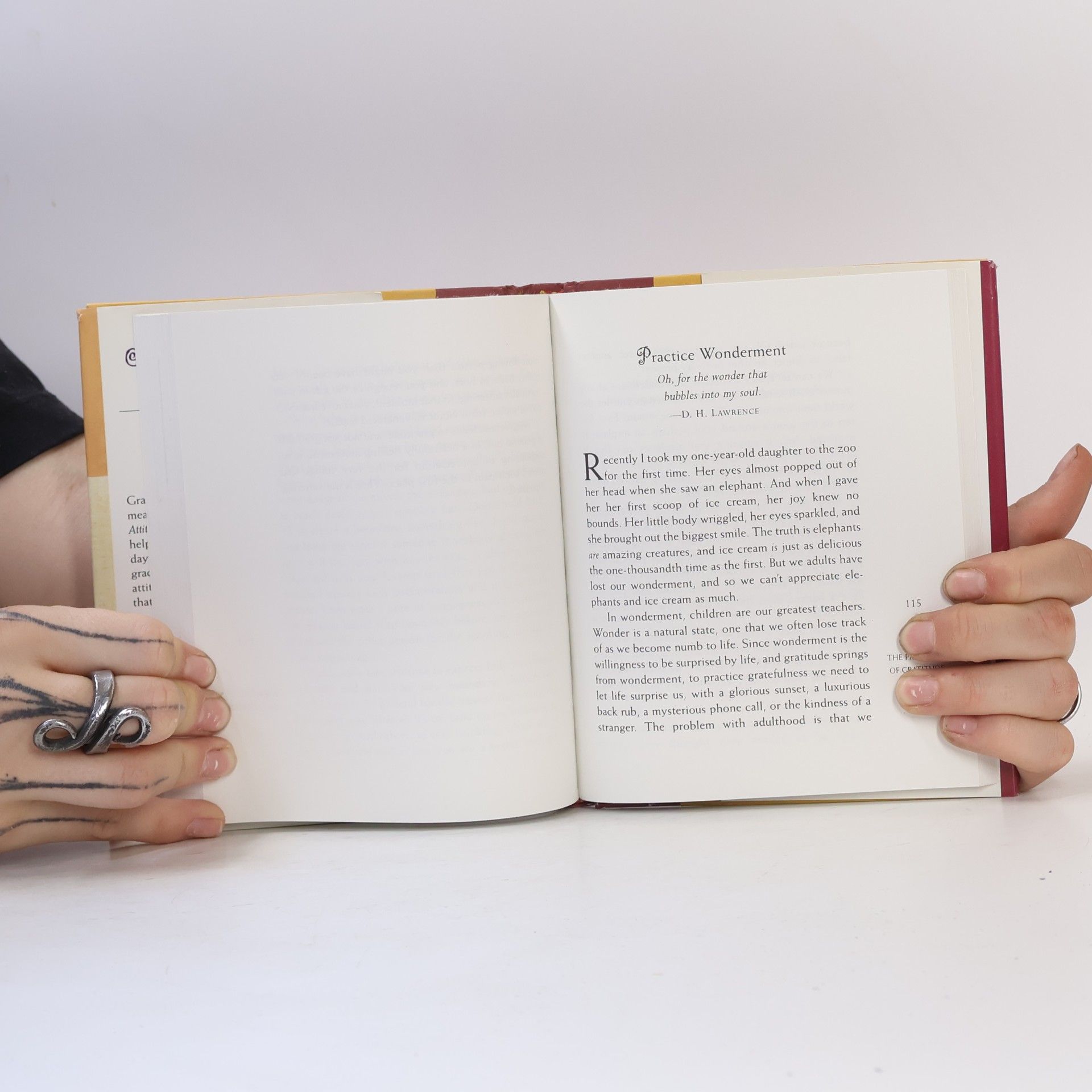 Mary Jane Ryan Attitudes of Gratitude
