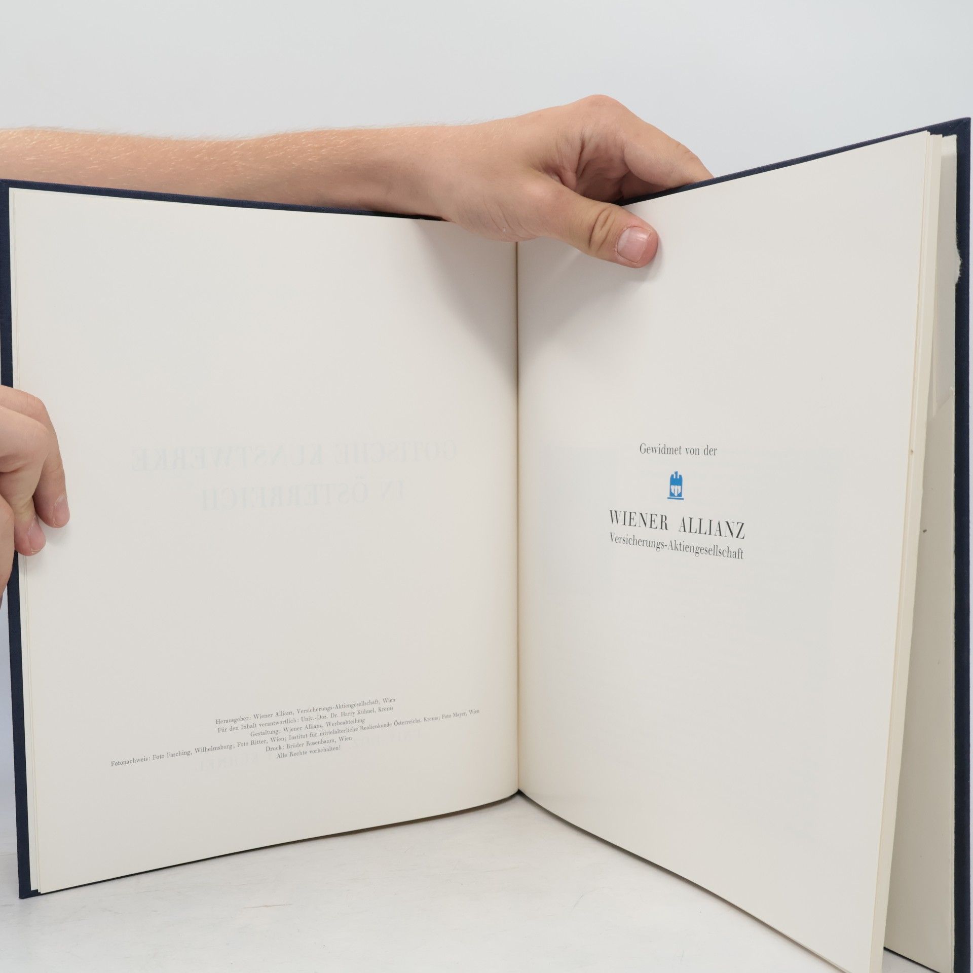 Autorenkollektiv Gotische Kunstwerke in Österreich