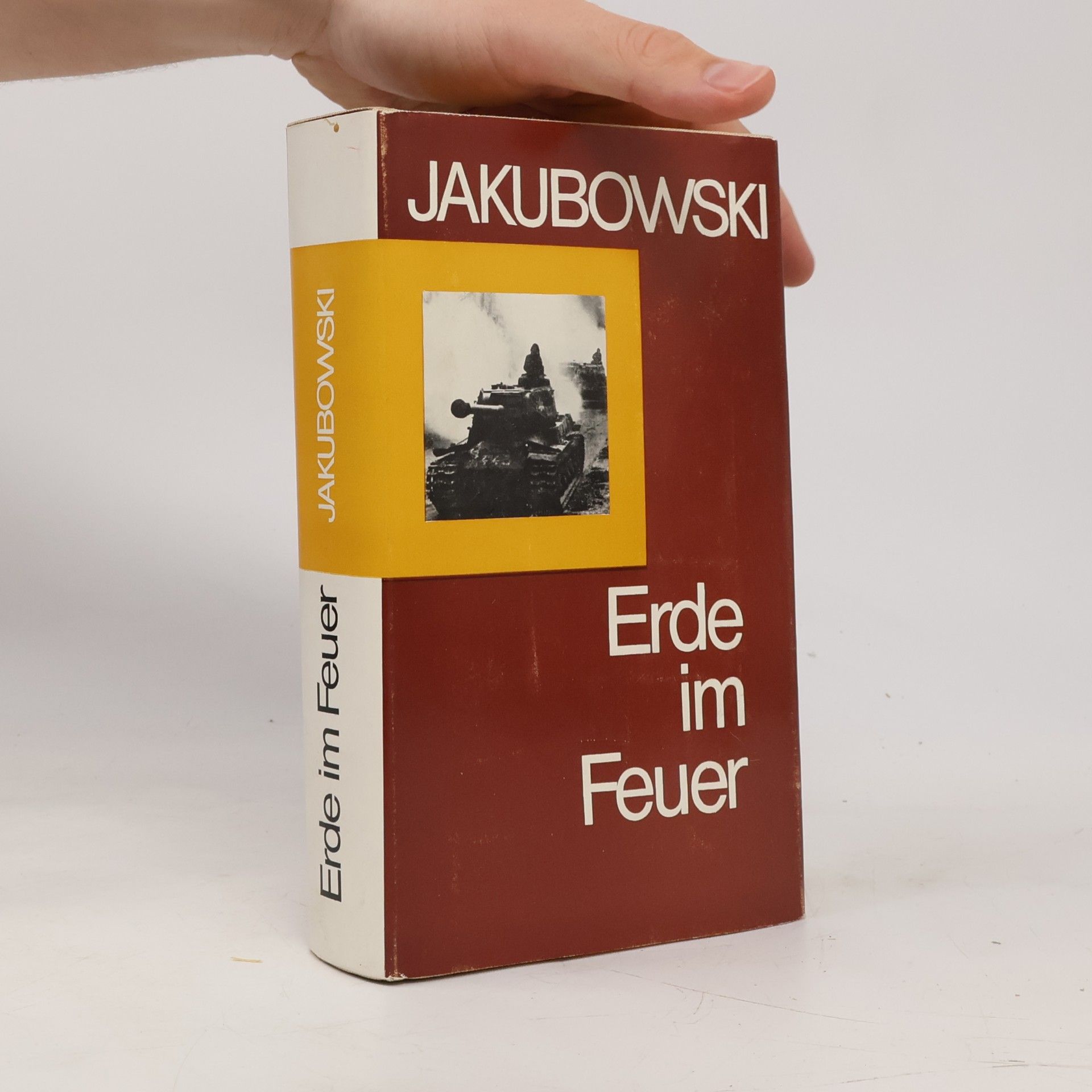 Ivan Jakubowski Erde im Feuer
