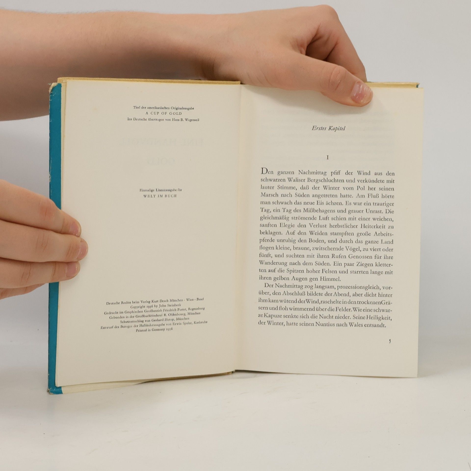 John Steinbeck Eine Handvoll Gold